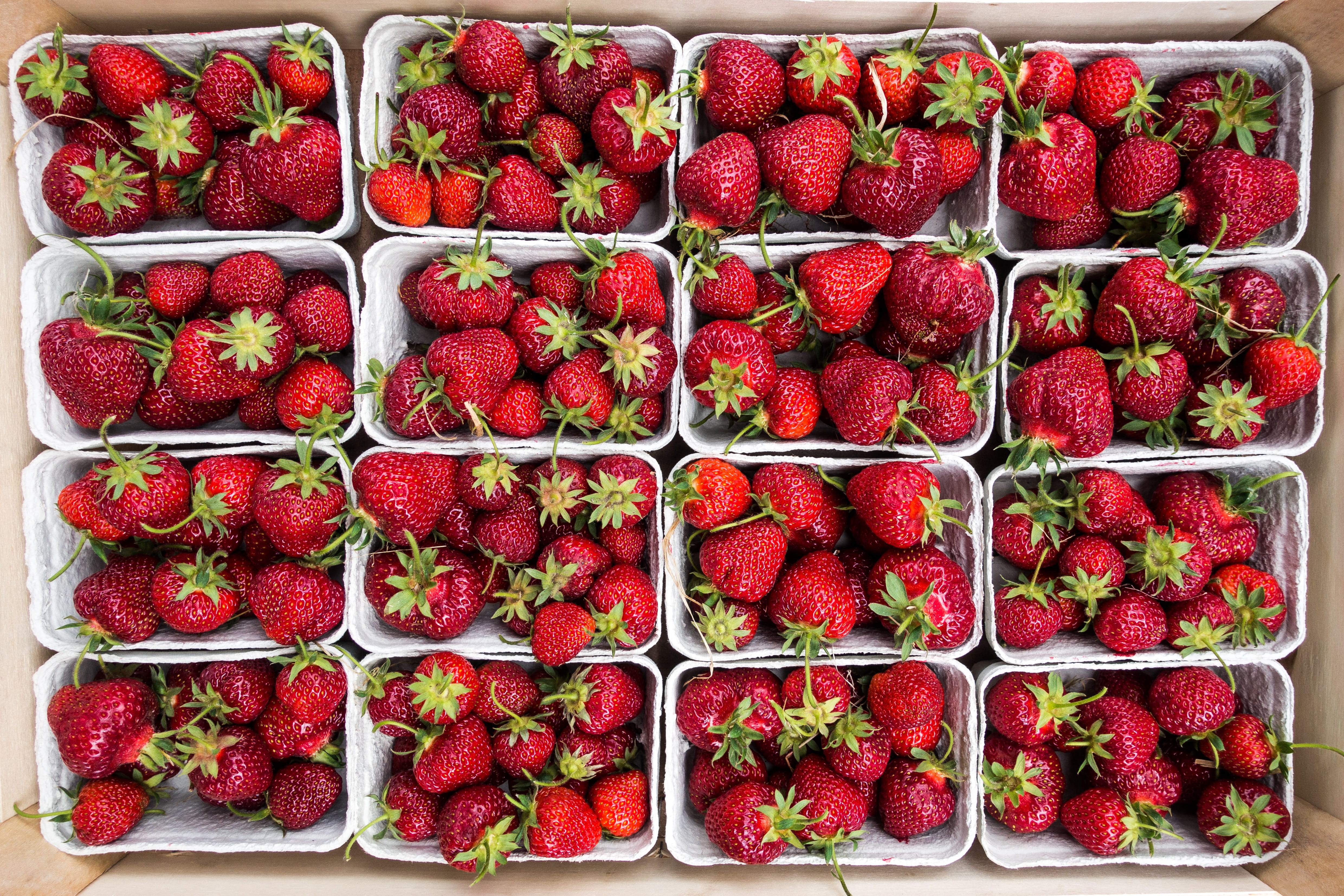 summer, food and drink, market, no people, red, top view, day, 4K, directly above, strawberry, nature, fresh, strawberries, large group of objects, abundance, HD Wallpaper