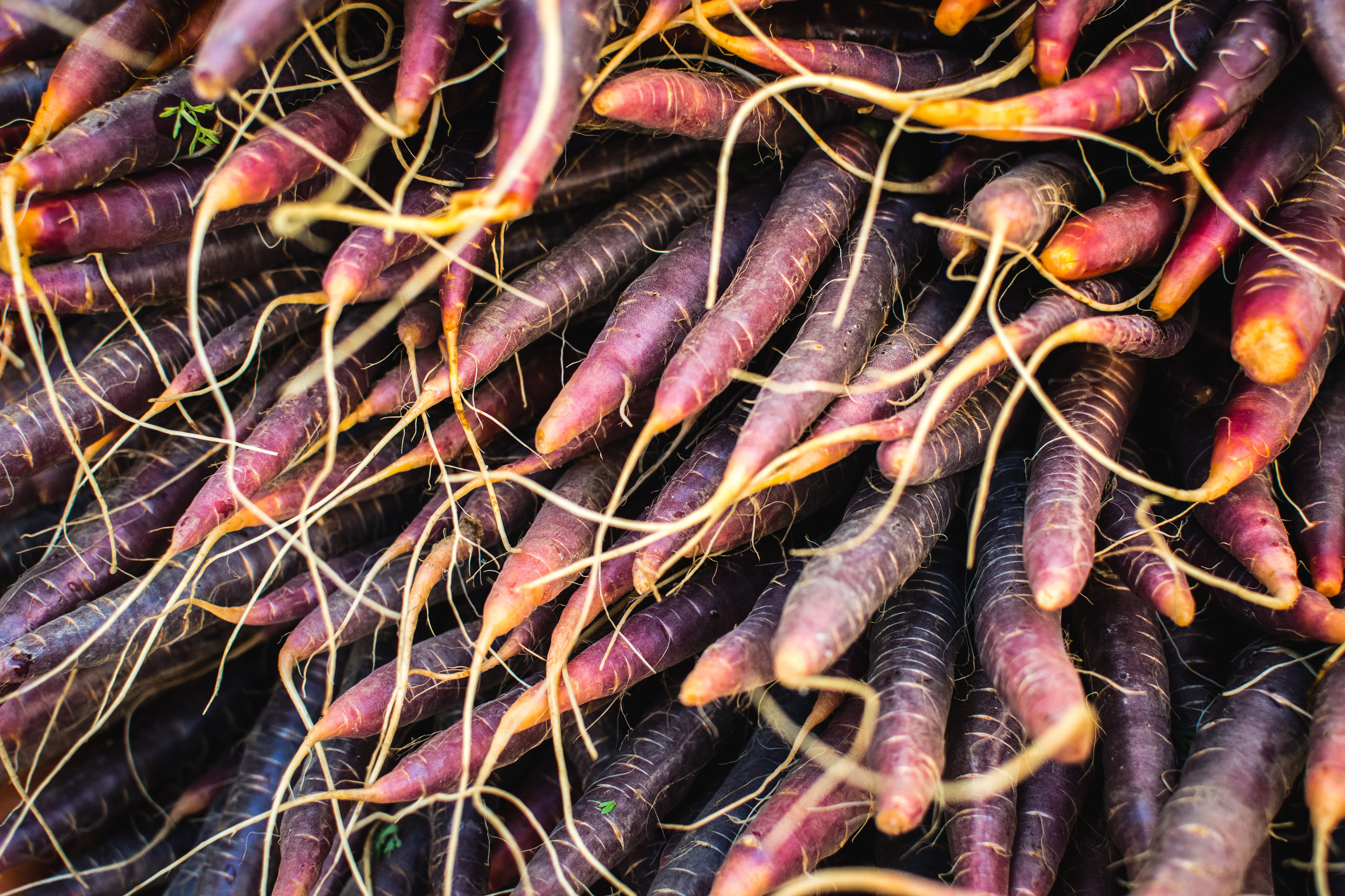 food and drink, large group of objects, farmers, red, day, wellbeing, carrots, no people, food, nature, retail, colorful, market, fishing industry, vegetable, HD Wallpaper
