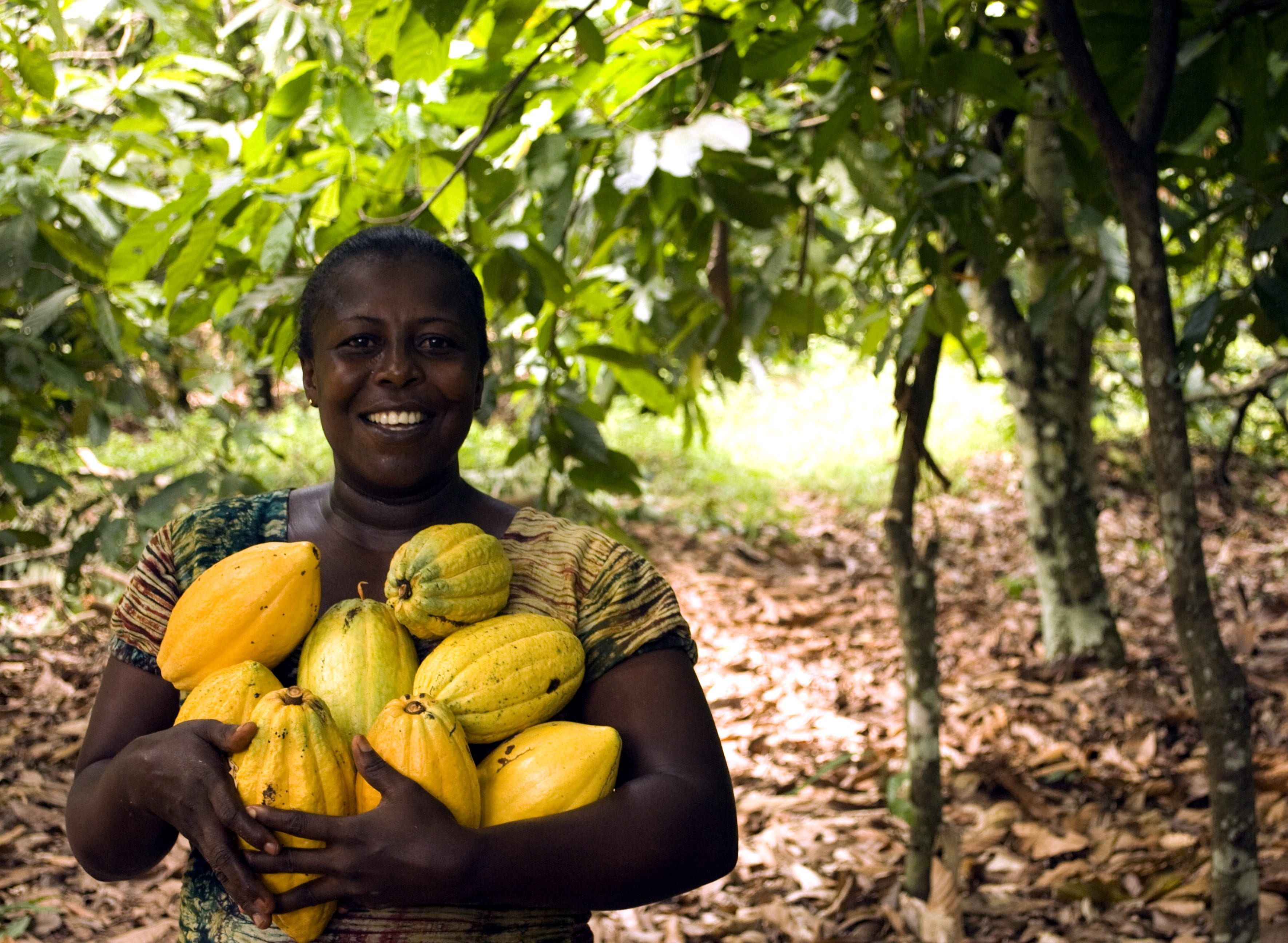 healthy eating, smiling, agriculture, holding, papapyas, farmer, farming, chocolate, happiness, golden, agricultural, yellow, pod, ghana, rural, wellbeing, HD Wallpaper