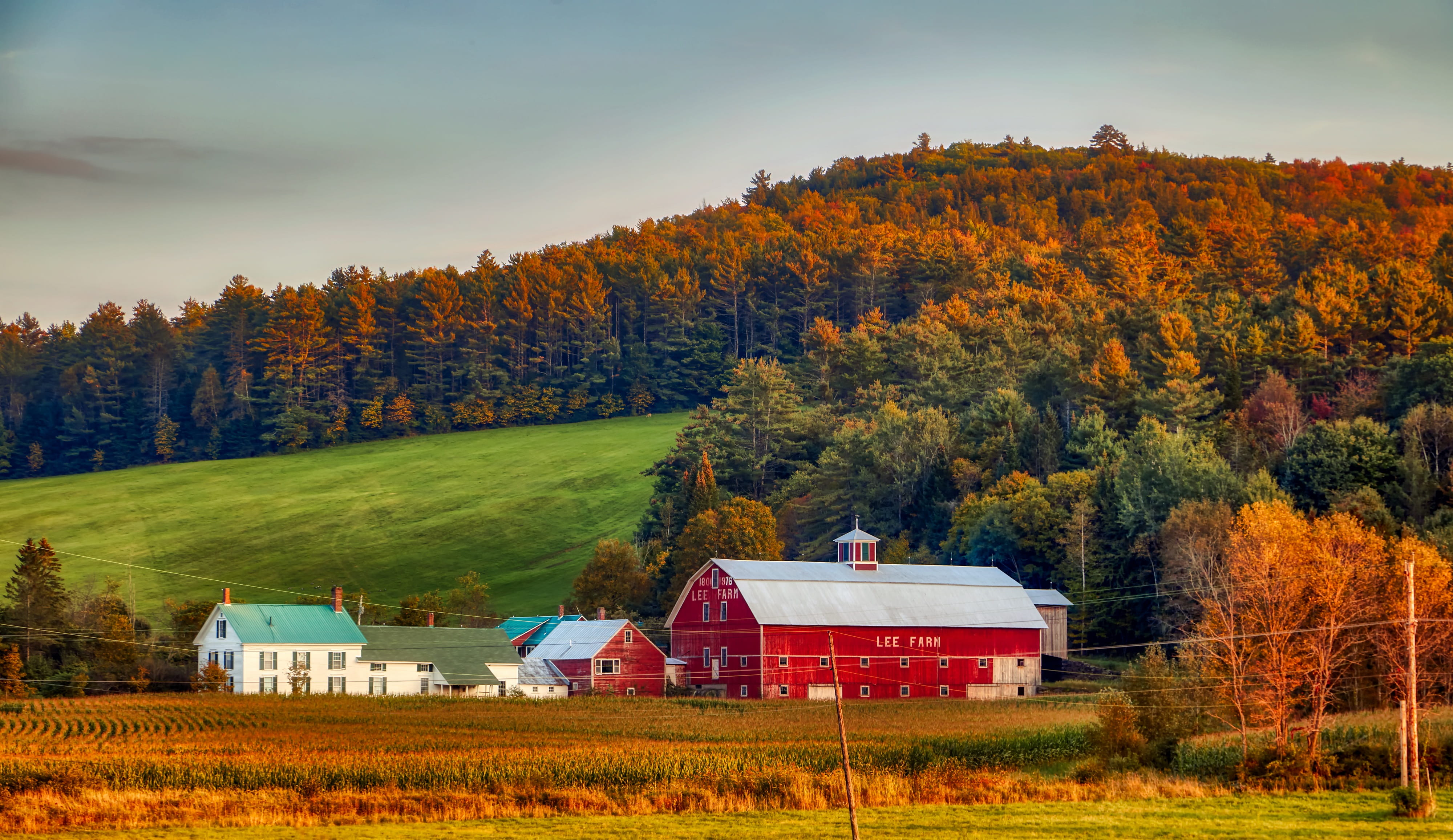 forest, fall, field, farm, grass, rural, panorama, valley, trees, mountains, growth, no people, america, outdoors, change, beauty in nature, new england, HD Wallpaper