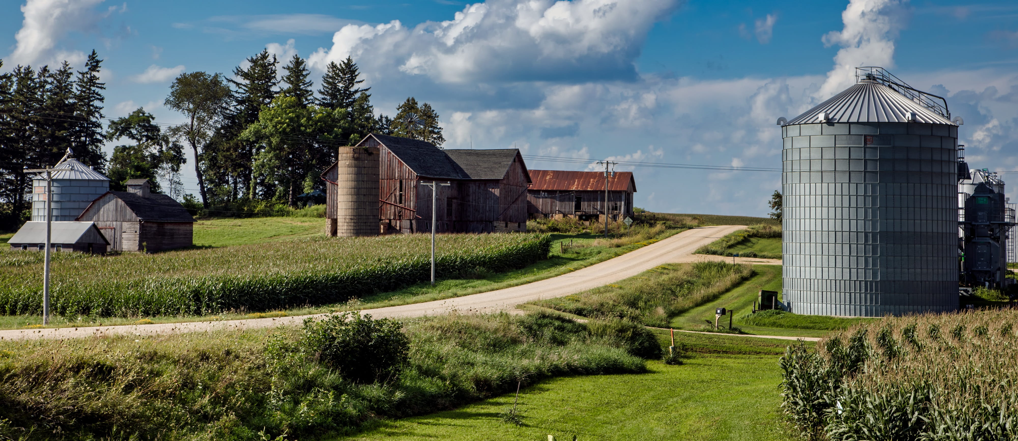 house, sunlight, tree, plant, country road, built structure, nature, building, day, barn, corn, cloud - sky, agriculture, grain bin, woods, land, trees, HD Wallpaper