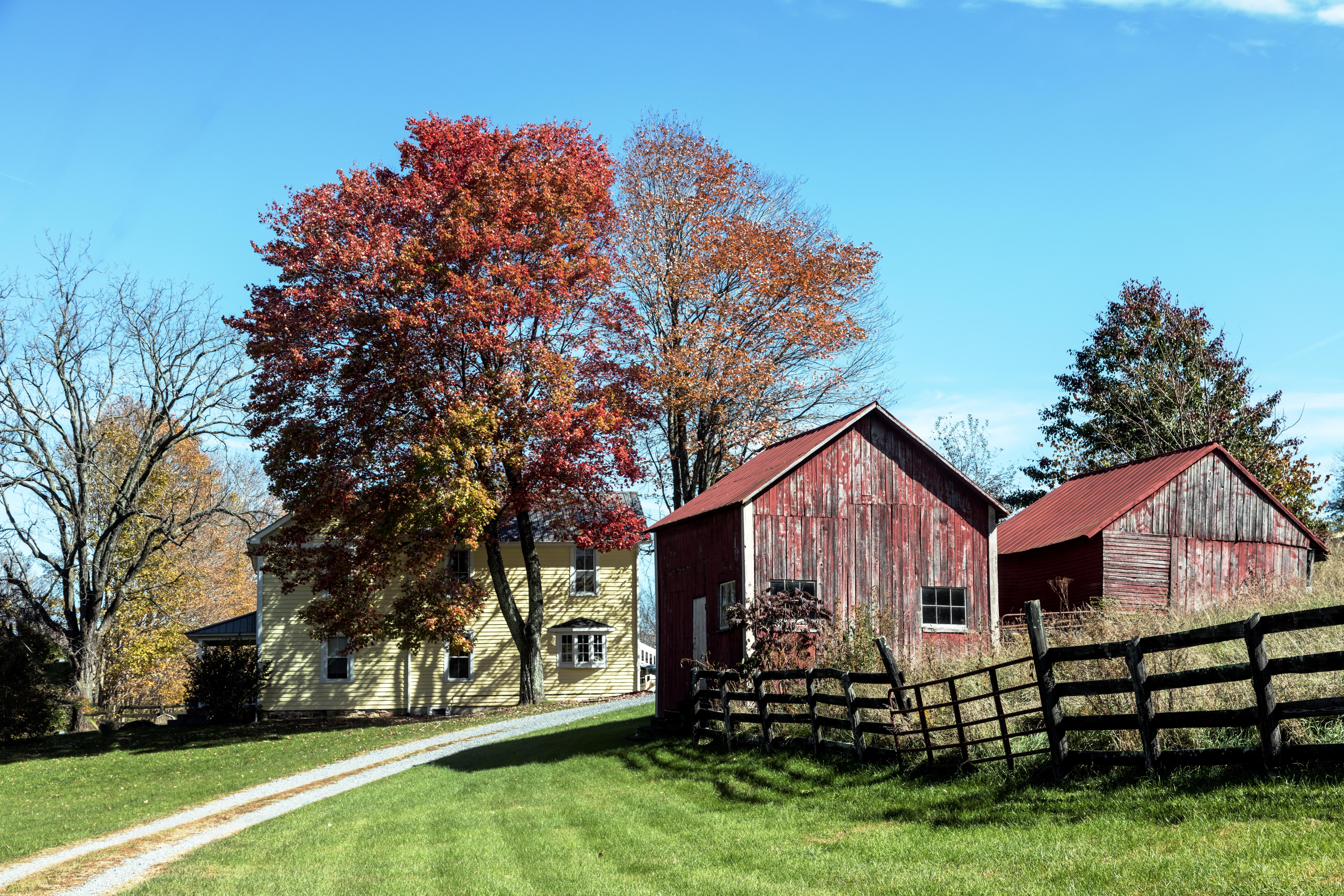 red, rural Scene, photography, sky, barn, home, house, monroe county, change, autumn, red leaves, uSA, stall, west virginia, farmhouse, farm, carol m highsmith, HD Wallpaper