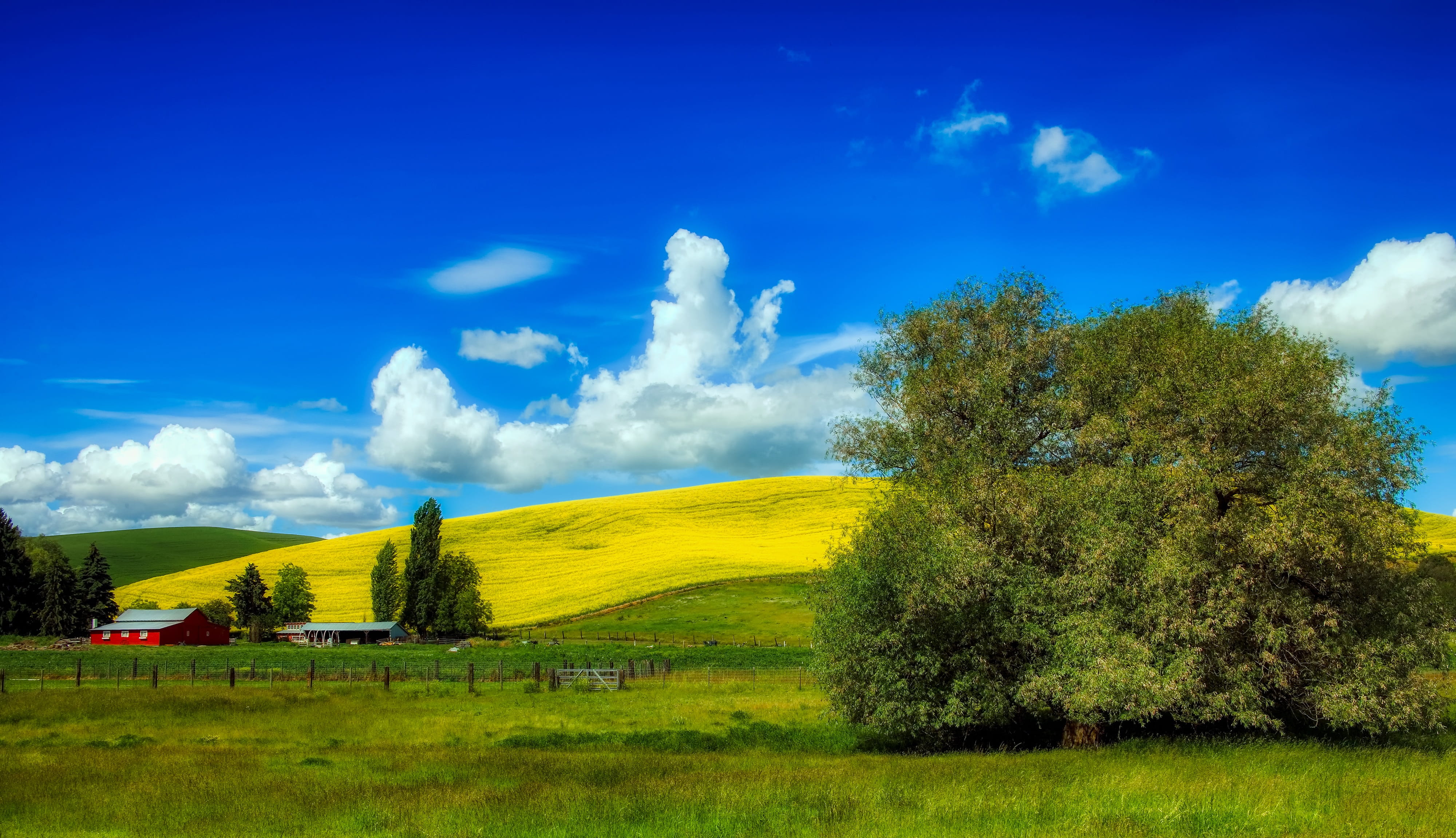 cloud - sky, 4K, country, farm, clouds, grass, sky, idaho, outdoors, plant, trees, non-urban scene, day, landscape, barn, countryside, beautiful, scenics - nature, HD Wallpaper