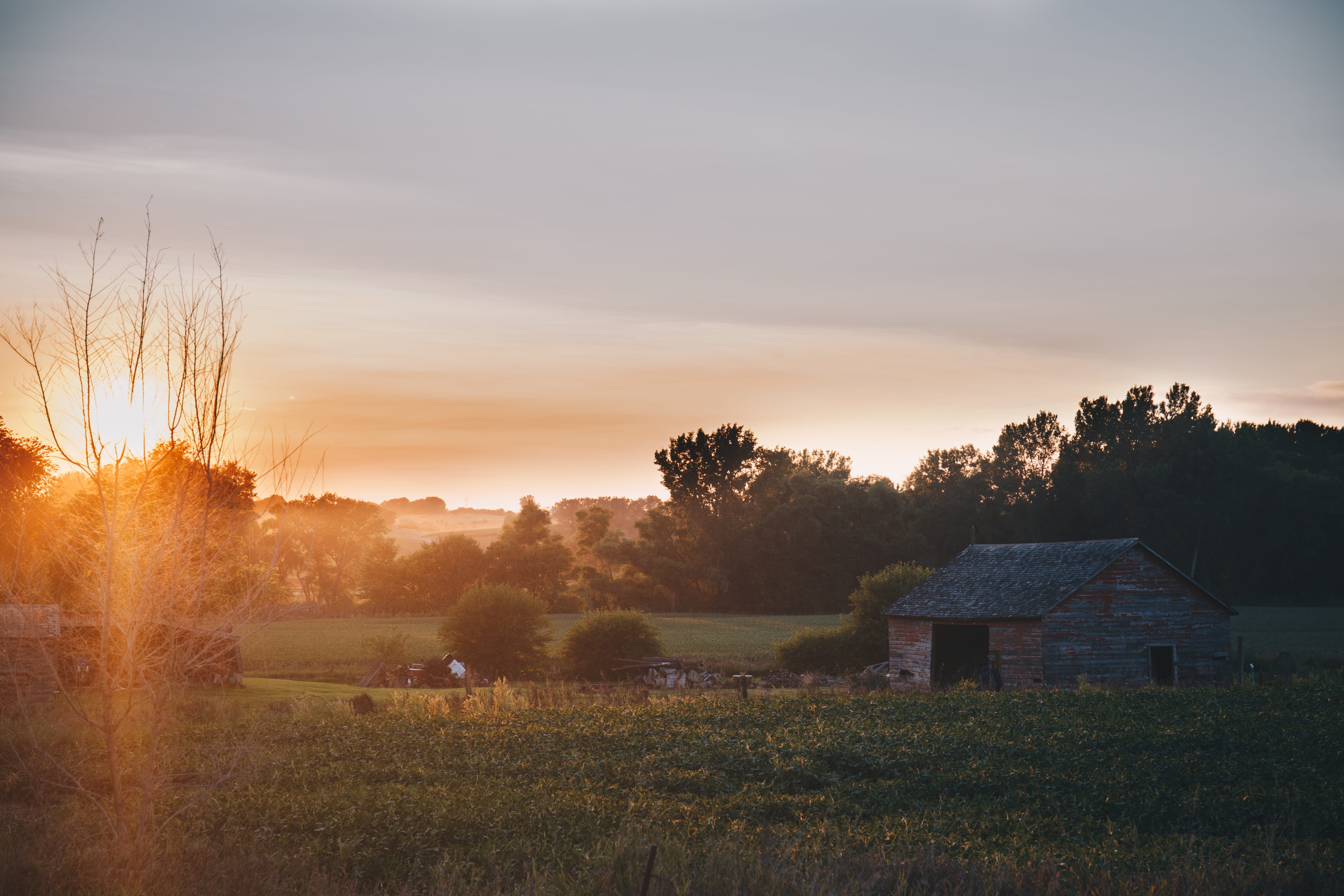 farm, built structure, tree, rustic, environment, tranquility, america, crops, no people, united states, scenics - nature, sunset, sky, american, outdoors, HD Wallpaper