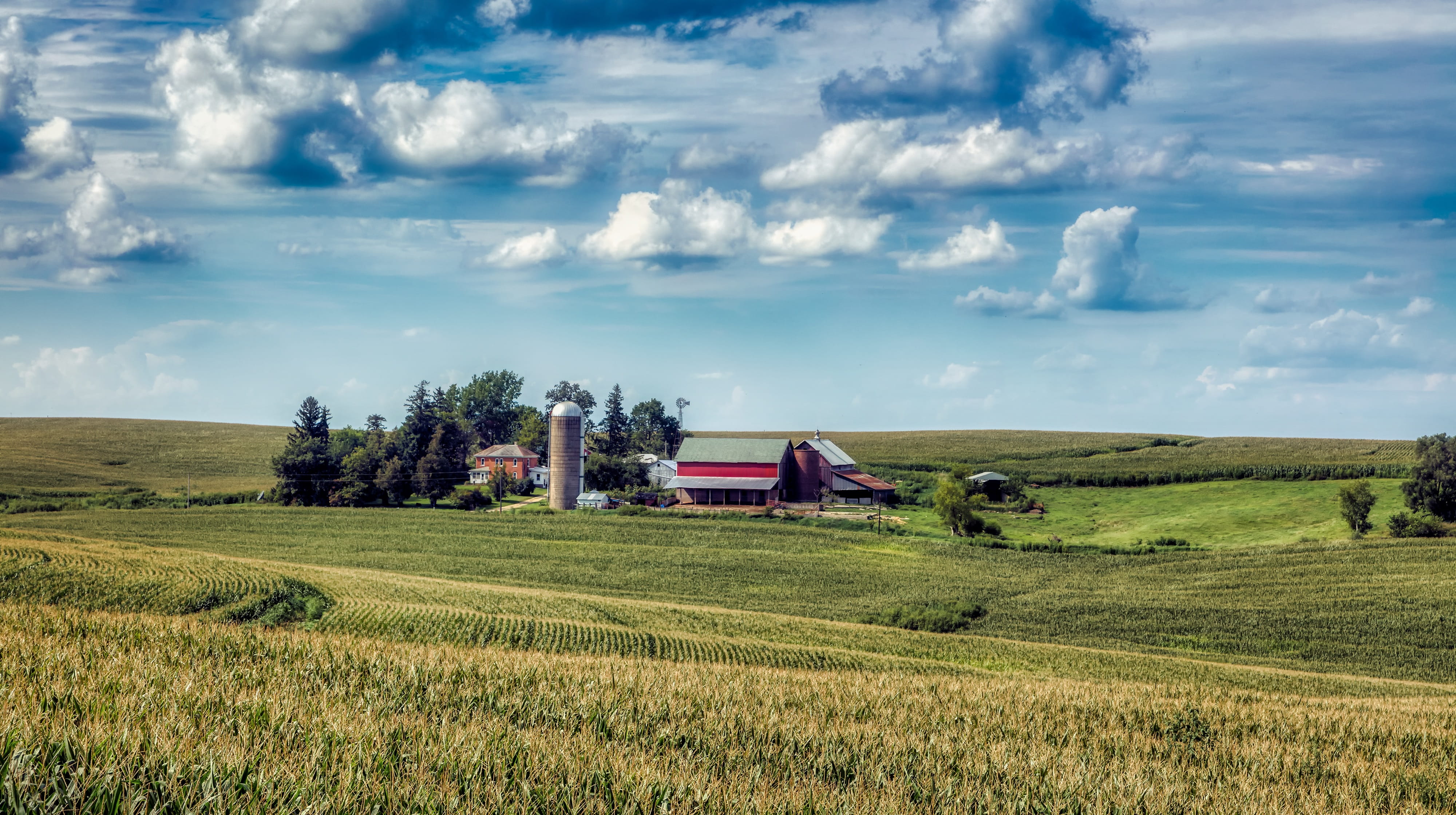 field, america, 4K, rural scene, corn, no people, nature, country, sky, cloud - sky, scenics - nature, trees, rural, outdoors, land, plant, agriculture, HD Wallpaper