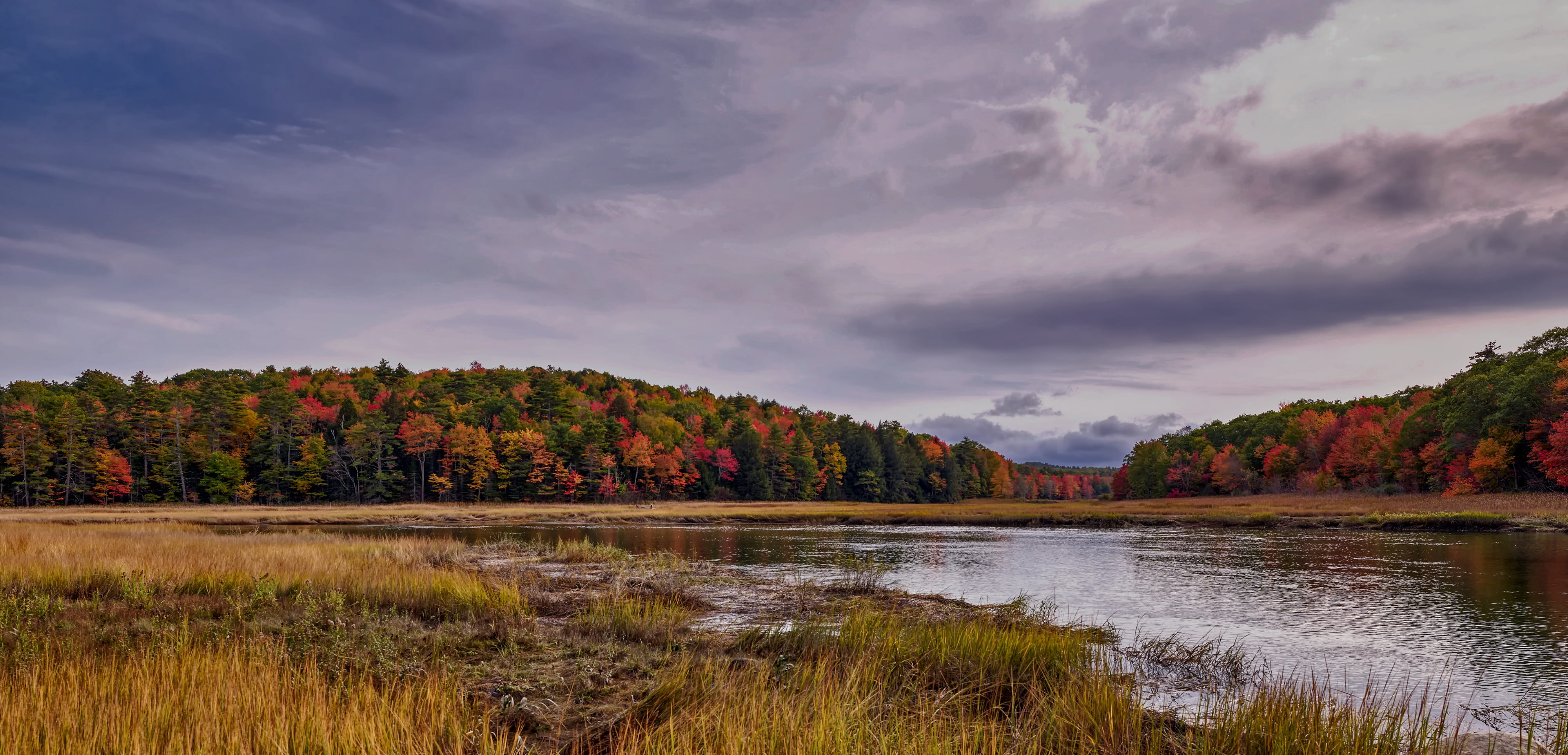 plant, reflection, tranquil scene, mountain, lake, beauty in nature, scenics - nature, tranquility, hills, forest, marsh, vermont, new england, nature, HD Wallpaper