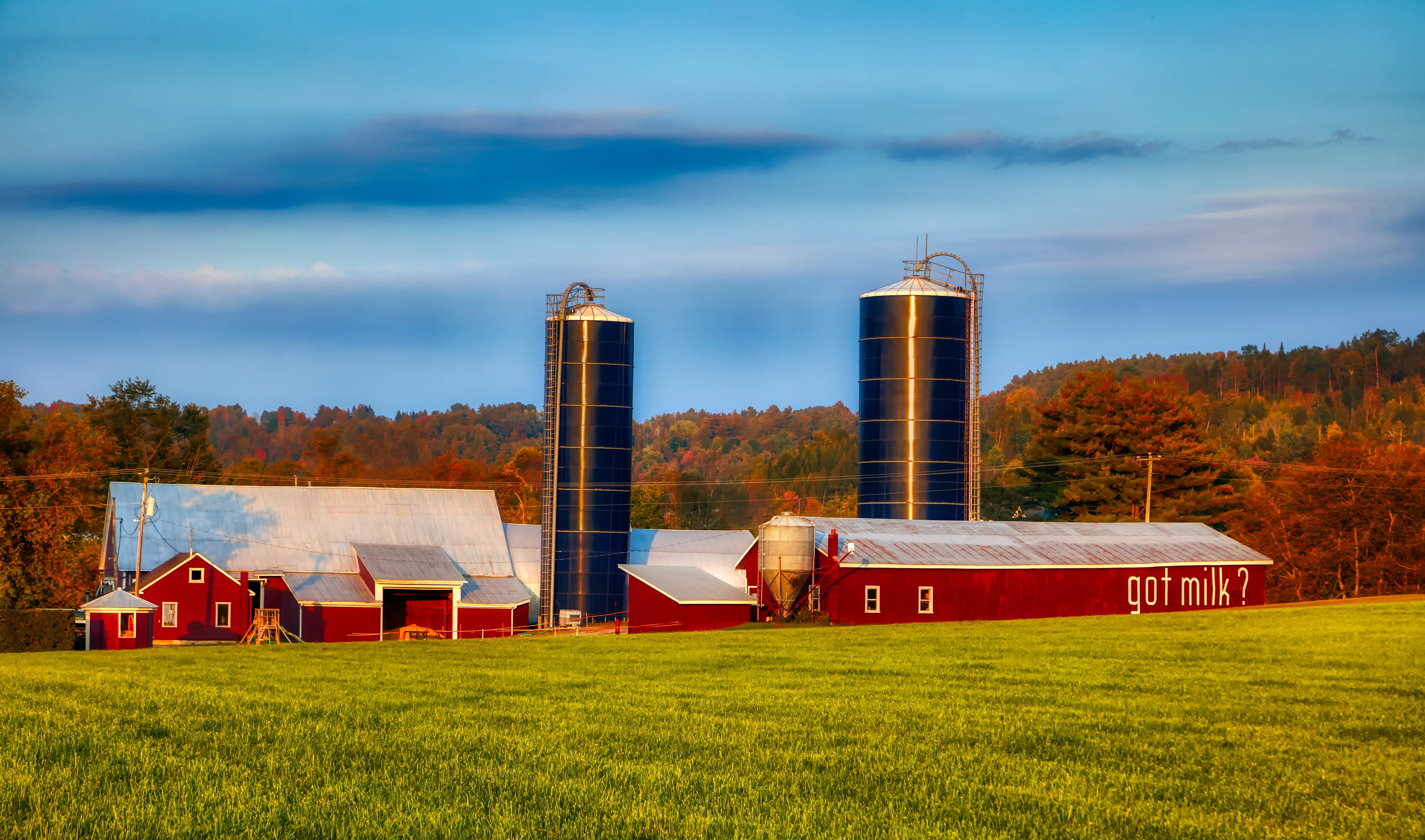 field, land, plant, landscape, forest, trees, america, hdr, day, farm, building exterior, country, environment, house, new england, dairy farm, agriculture, HD Wallpaper