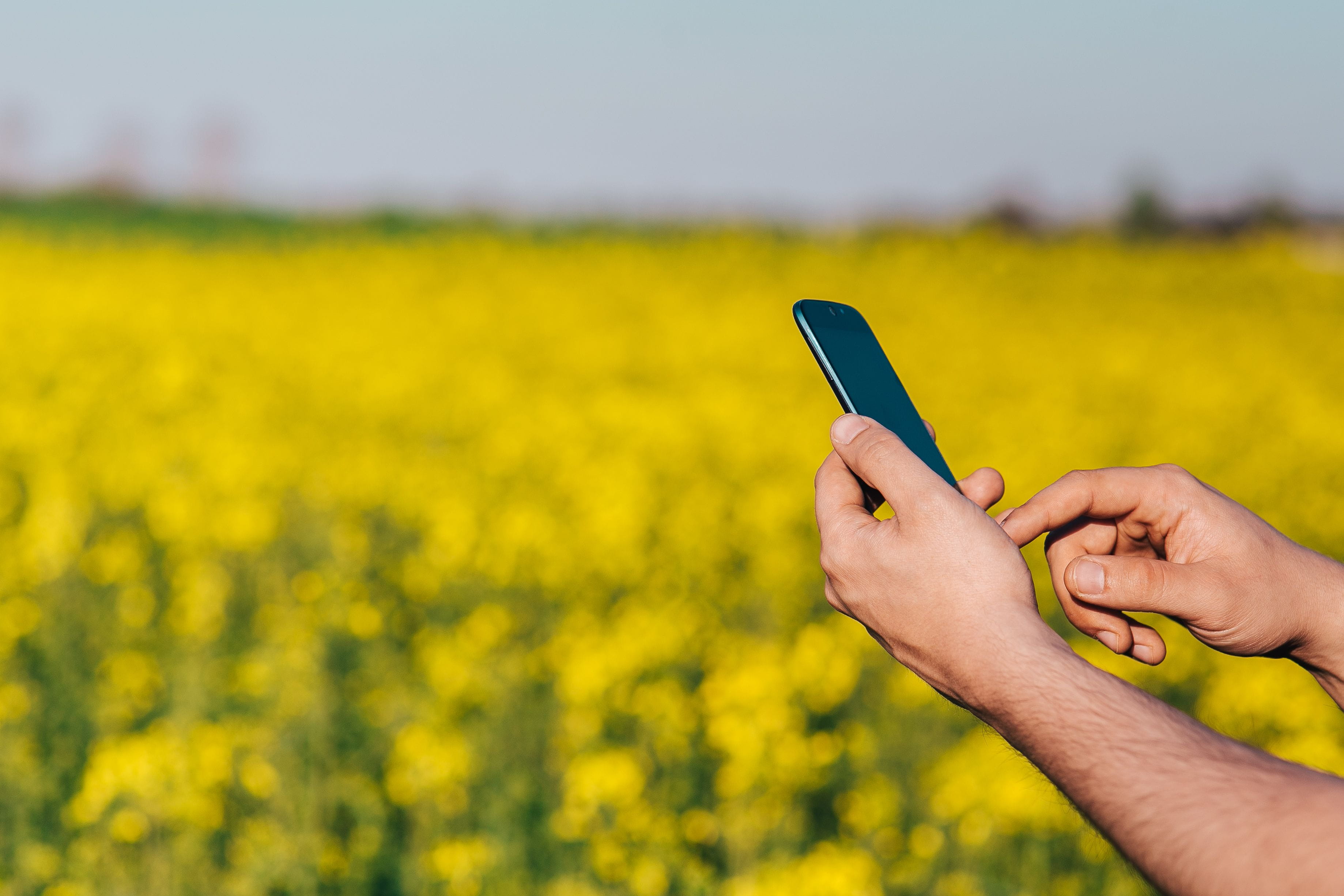 field, body part, smart Phone, communication, people, smartphone, flowers, rapes, plant, yellow, human body part, oilseed rape, hand, tech, agriculture, HD Wallpaper