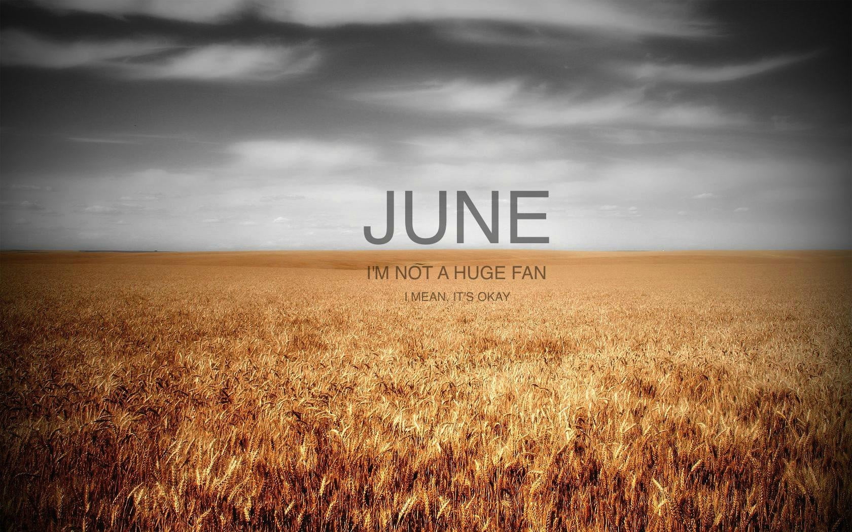 nature, June, text, message, plant, cloud - sky, day, digital art, sign, no people, horizon, photography, wheat, agriculture, field, typography, quote, HD Wallpaper