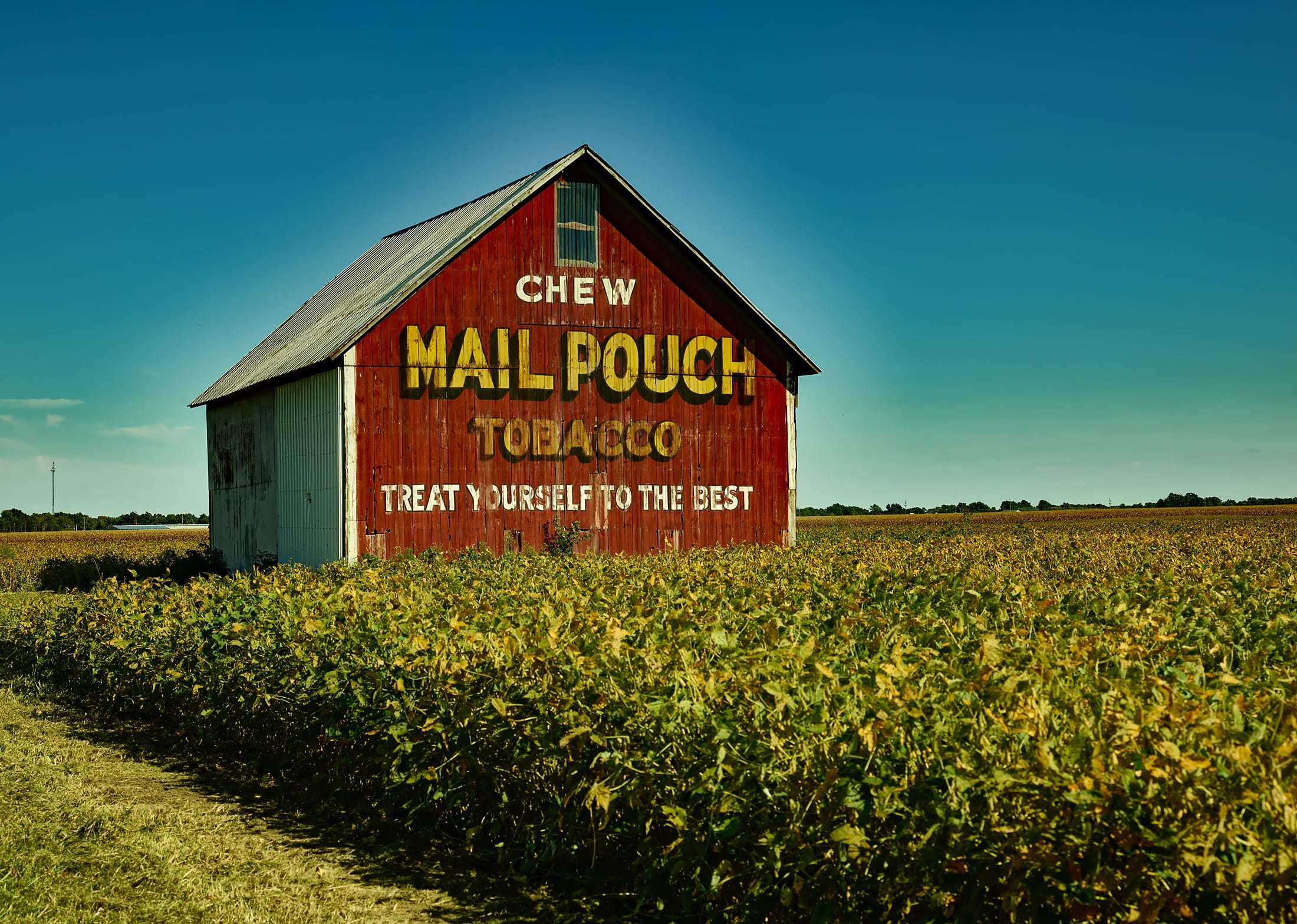 hdr, land, indiana, nature, pouch, agriculture, western script, landscape, text, 1080P, sign, rustic, crop, no people, growth, communication, capital letter, HD Wallpaper