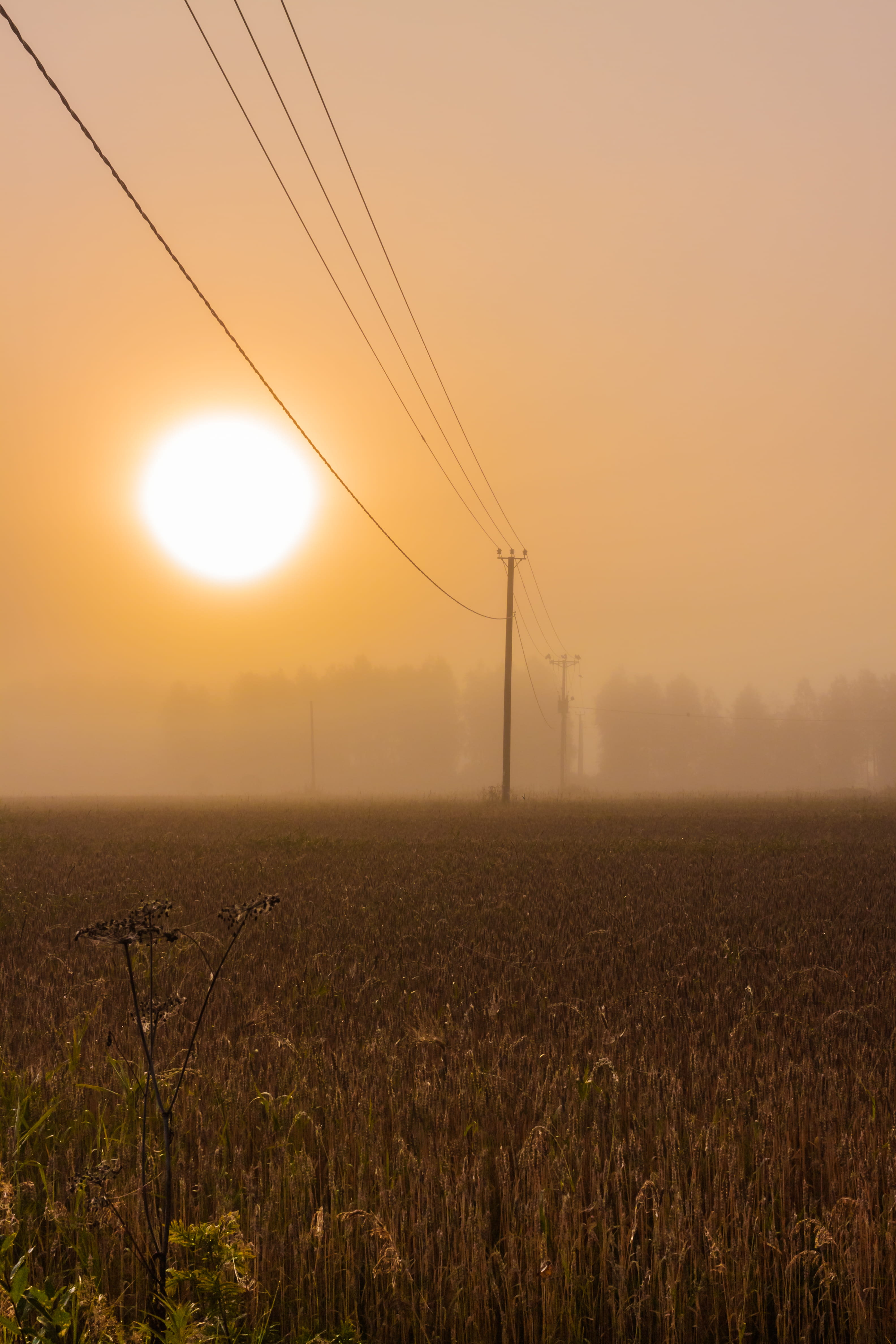 bright, communication, tranquility, scenery, finland, sunrise, farming, 4K, power line, electricity pylon, rural scene, scandinavia, landscape, environment, Phone HD Wallpaper