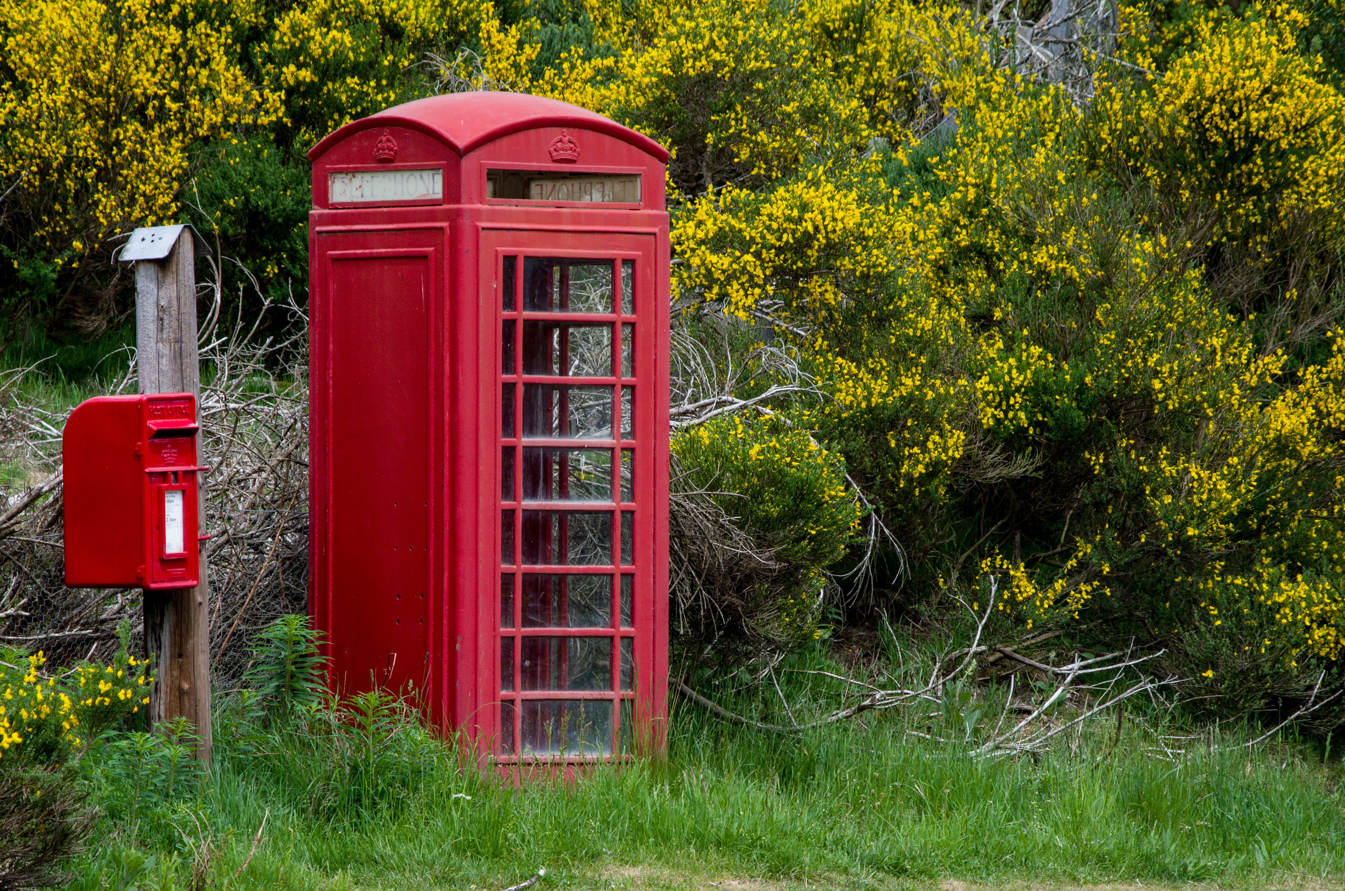 building exterior, connection, balmoral, london - England, telephone, old, tree, global communications, convenience, scotland, lonely, pay Phone, 4K, aberdeenshire, HD Wallpaper
