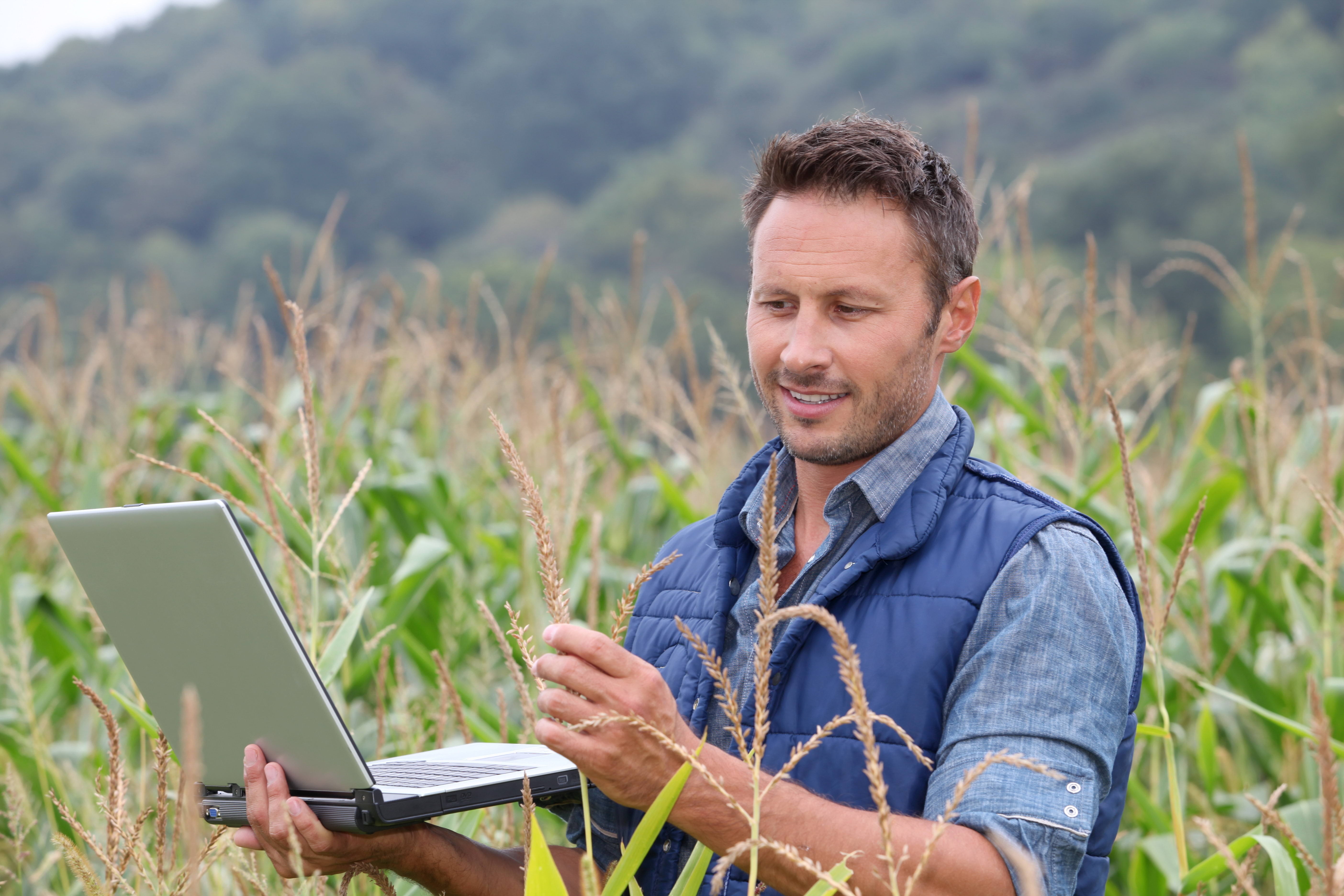 field, rural Scene, agriculture, adult, notebook, non-Urban Scene, cheerful, gray, success, one Man Only, asia, crop, technology, nature, one Person, people, HD Wallpaper