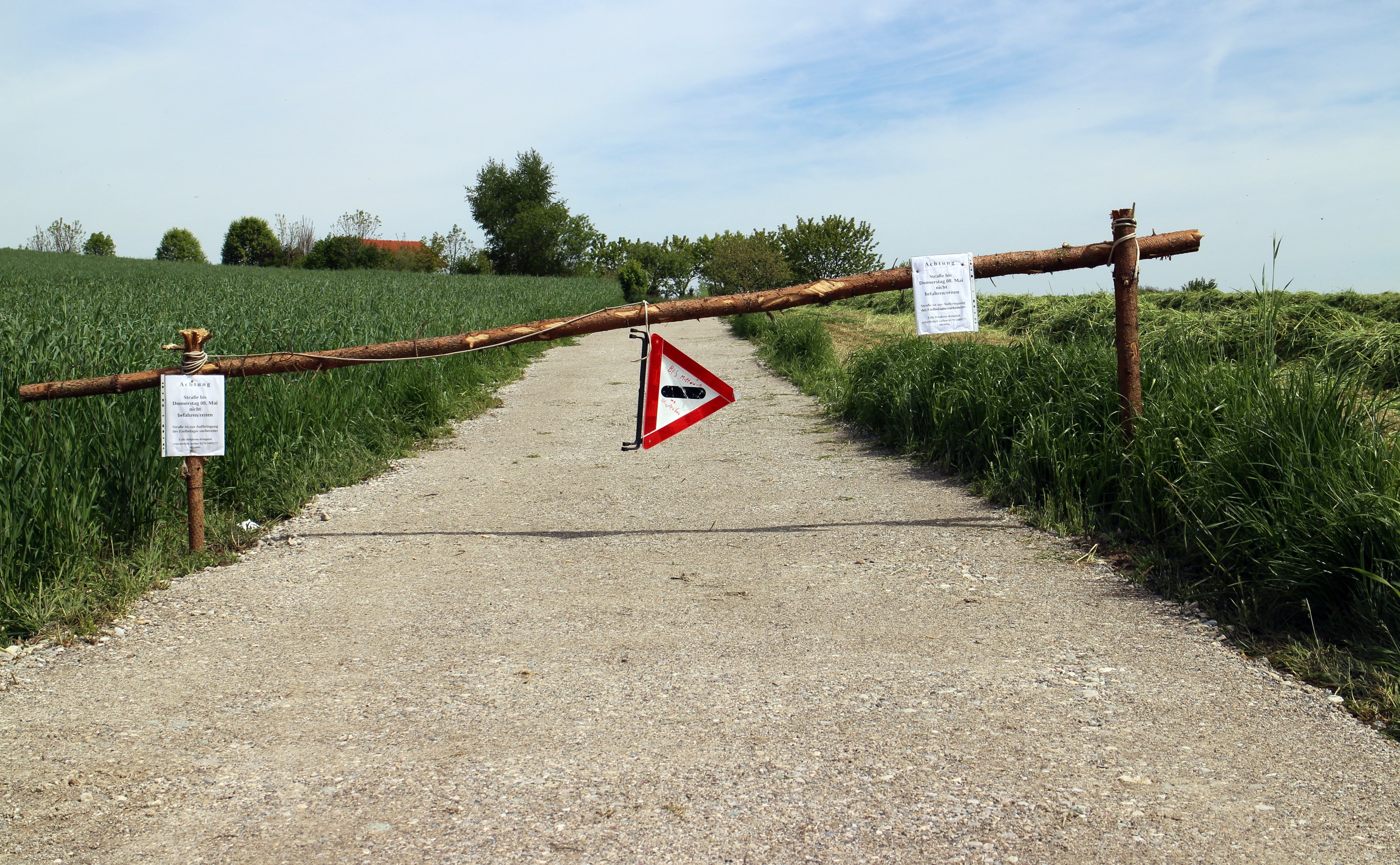 bark, sign, the way forward, transportation, rural scene, note, direction, tree, day, road sign, plant, outdoors, road, 5K, field, stop, architecture, HD Wallpaper
