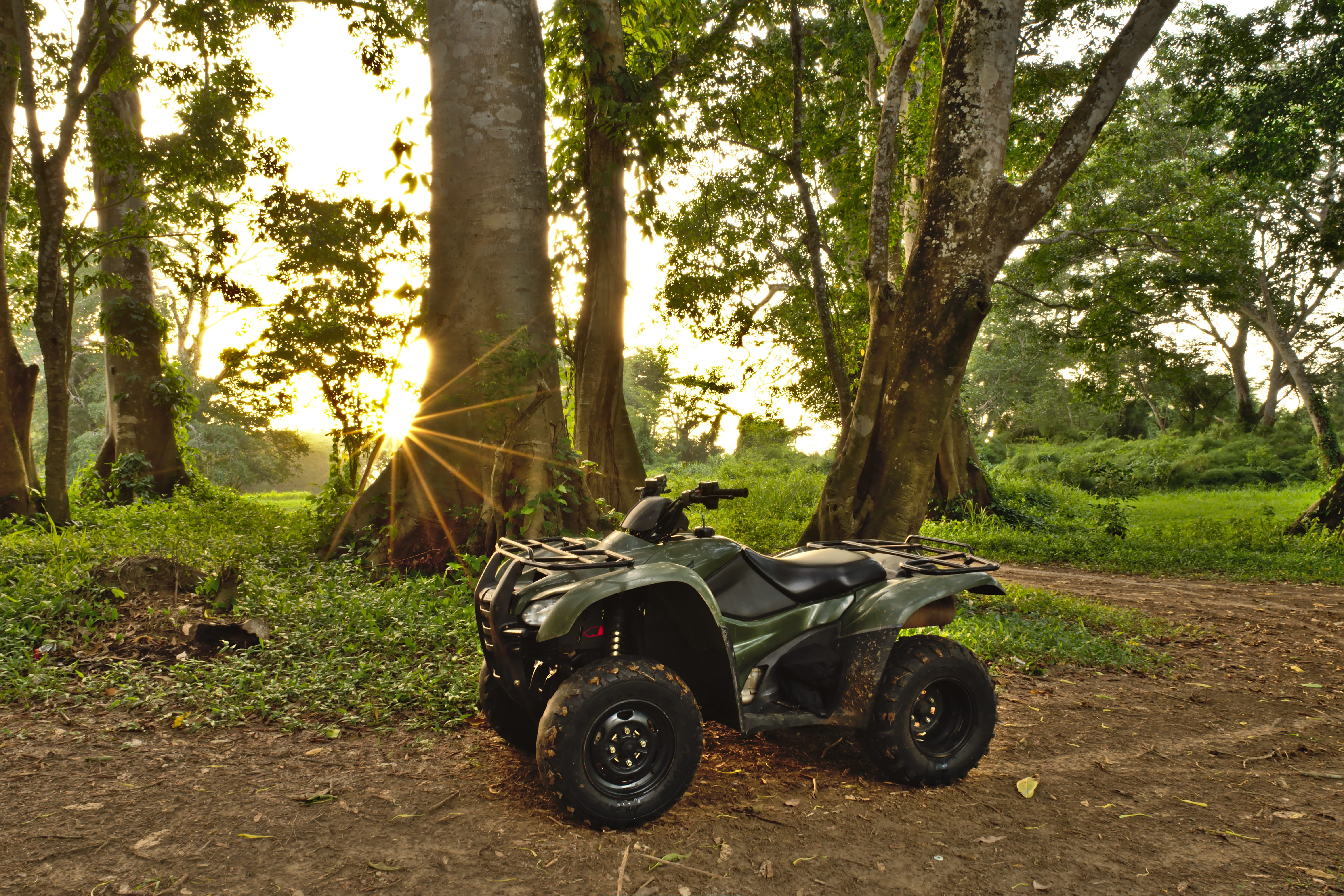 trx420, 4x4, transportation, 5K, no people, sport, recreation, non-urban scene, atv, rancher, wheel, land, woods, vehicle, terrain, belize, fun, tree, HD Wallpaper