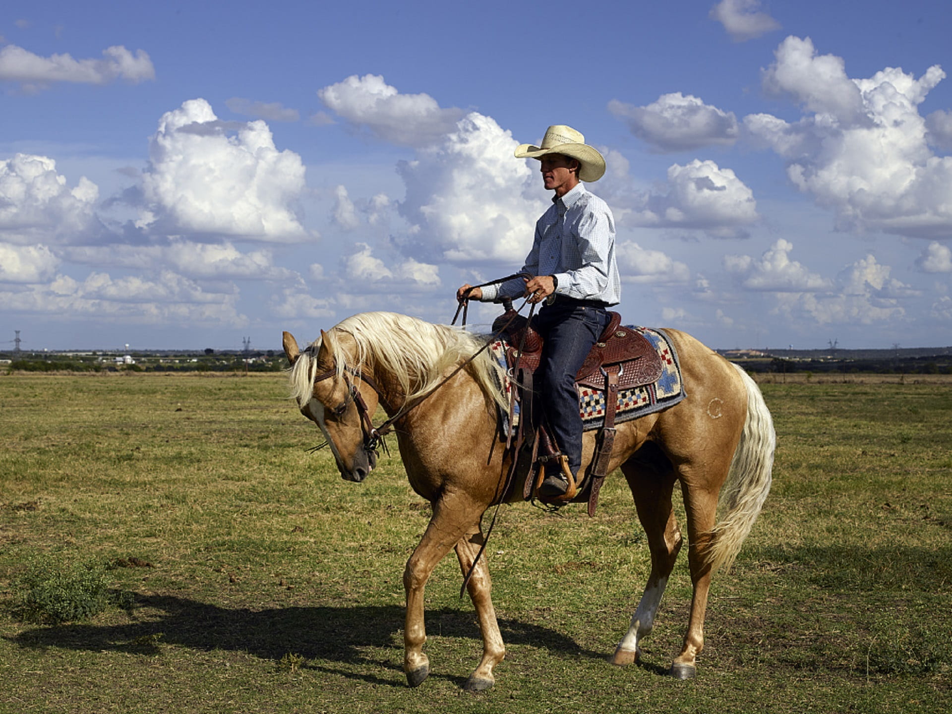 usa, equestrian, venus, field, riding, animal themes, 1080P, man, ranch, texas, rope, horseback riding, domestic, ride, animal wildlife, western, horse, HD Wallpaper