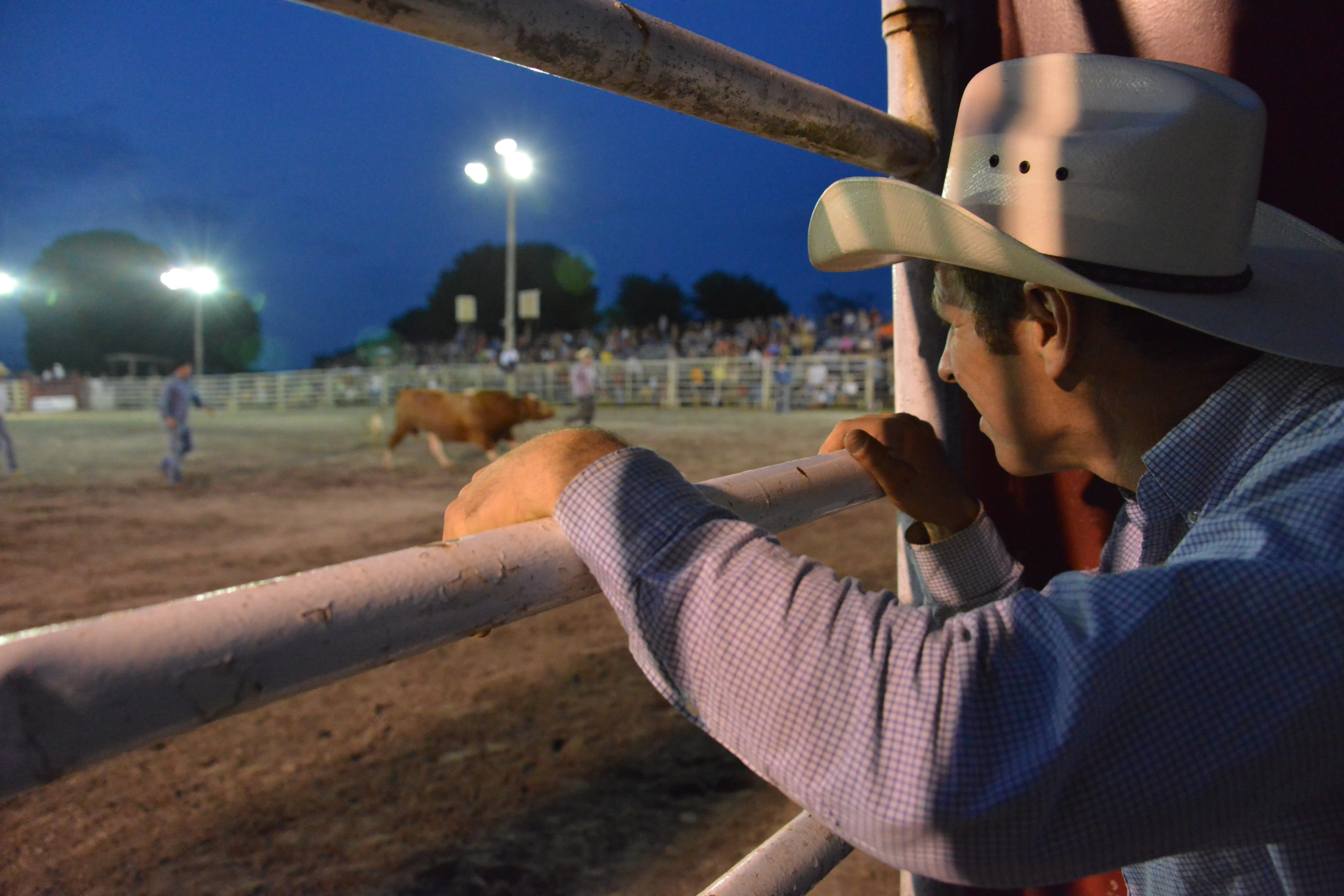 rancher, Cowboy, clothing, country, illuminated, horse, one person, incidental people, sky, real people, night, texas, retro, technology, outdoors, land, HD Wallpaper