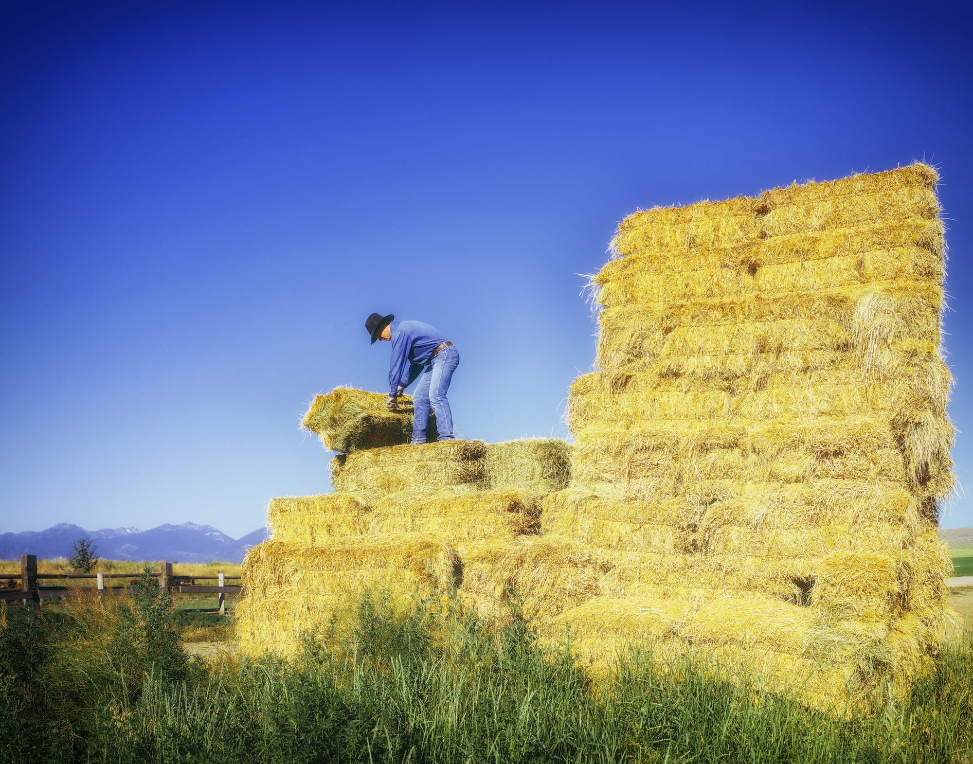 countryside, standing, outside, rural, outdoors, working, oregon, stack, adult, straw, top, men, nature, agriculture, farm, man, one person, land, landscape, HD Wallpaper