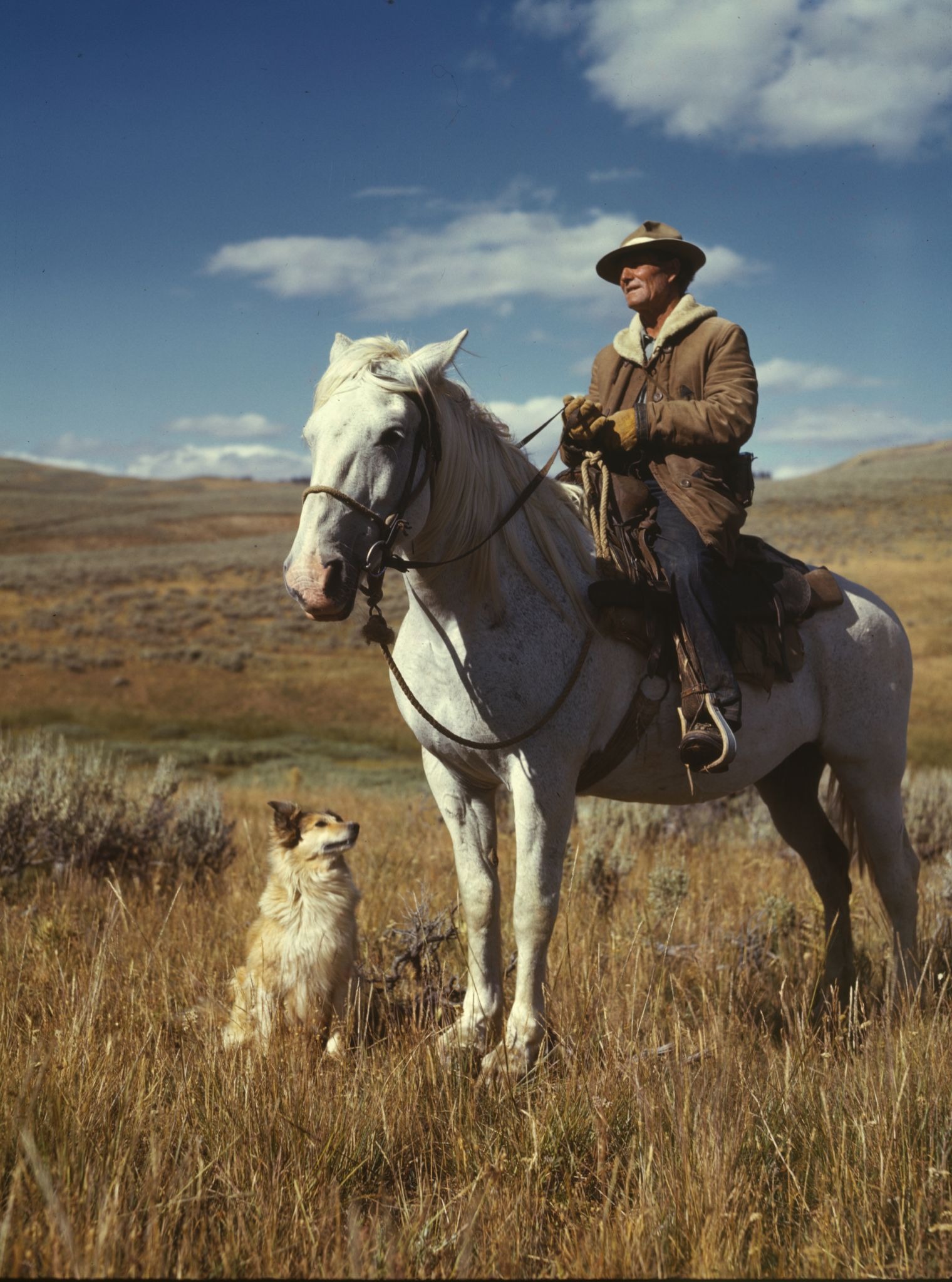 1080P, man, jacket, livestock, rural Scene, landscape, animal themes, riding, wearing, horseback Riding, brush, country, people, sitting, outside, mammal, Phone HD Wallpaper
