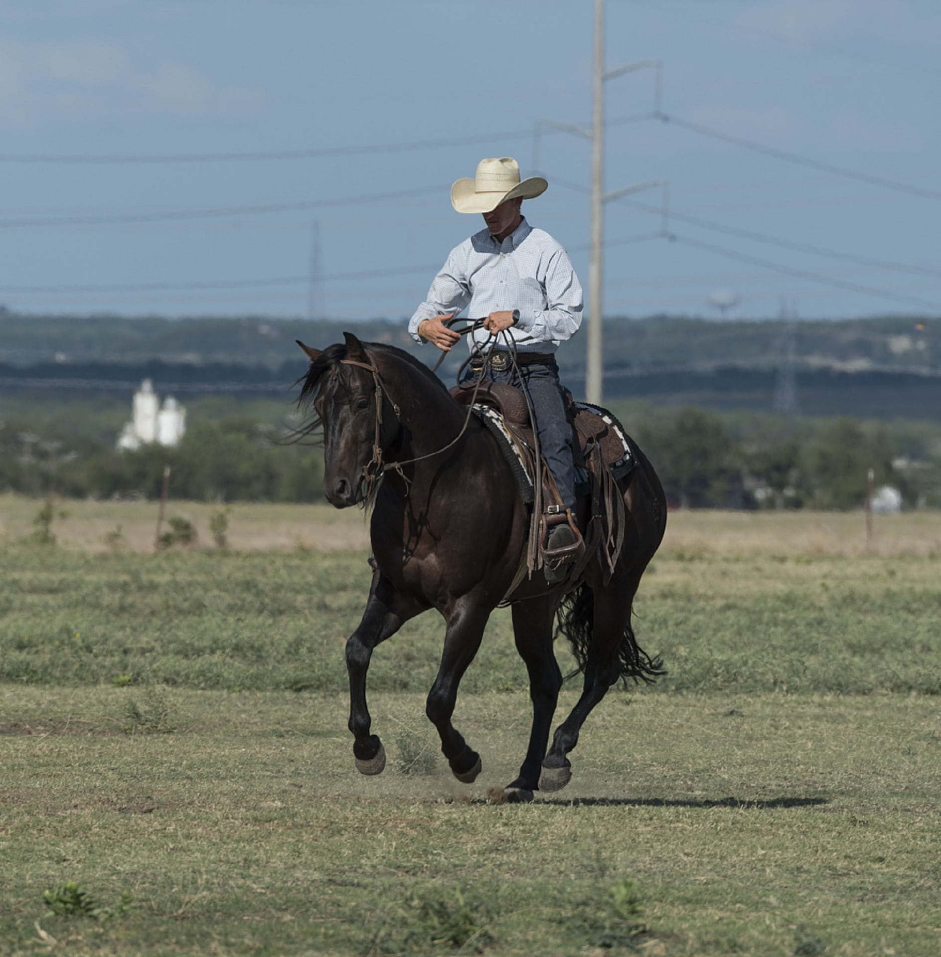 real people, one person, pets, country, animal, domestic, riding, american, usa, cowboy, ranch, working animal, 1080P, rope, one animal, lasso, activity, Phone HD Wallpaper