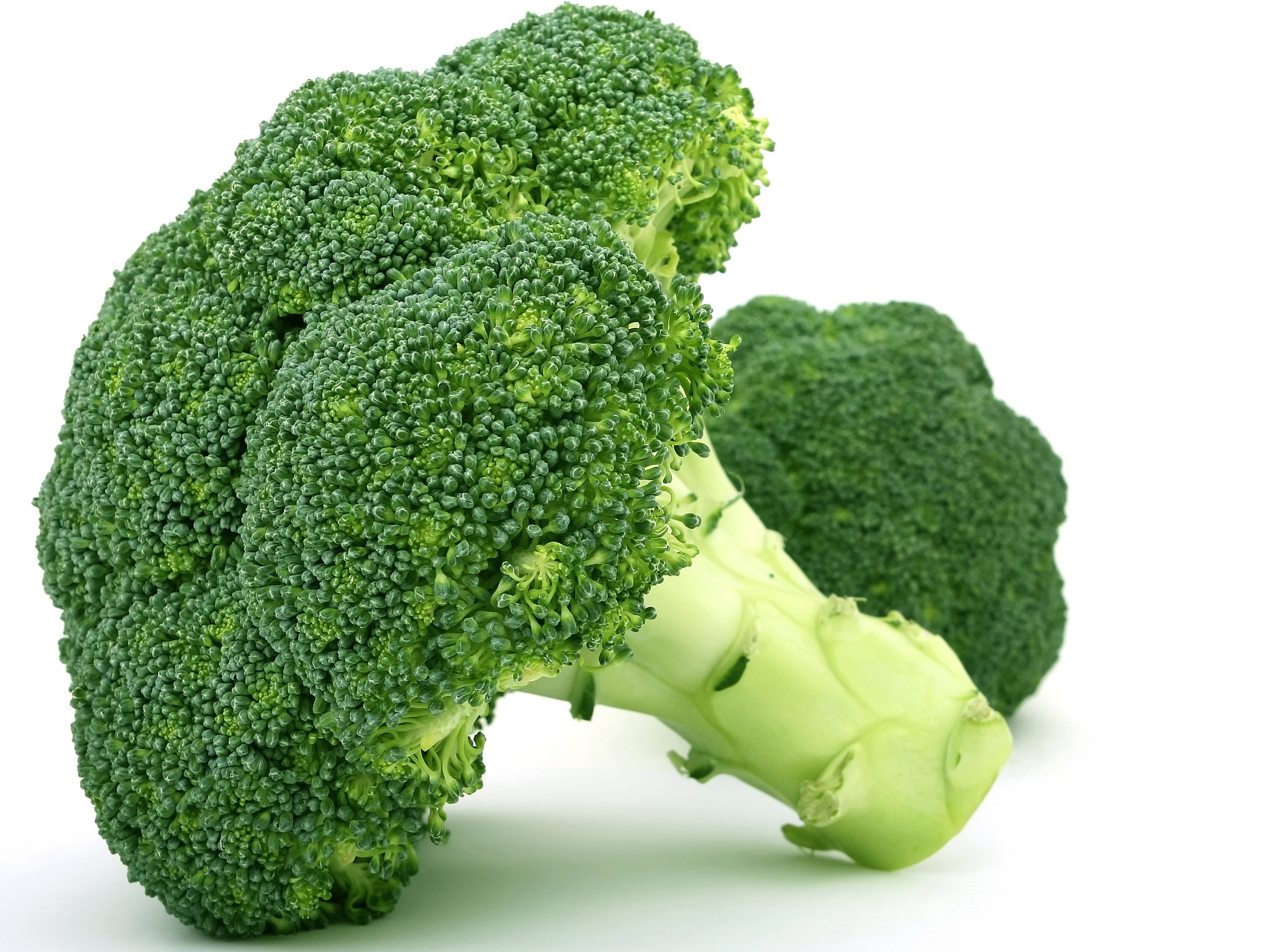 2K, green, Vegetables, Broccoli, HD Wallpaper