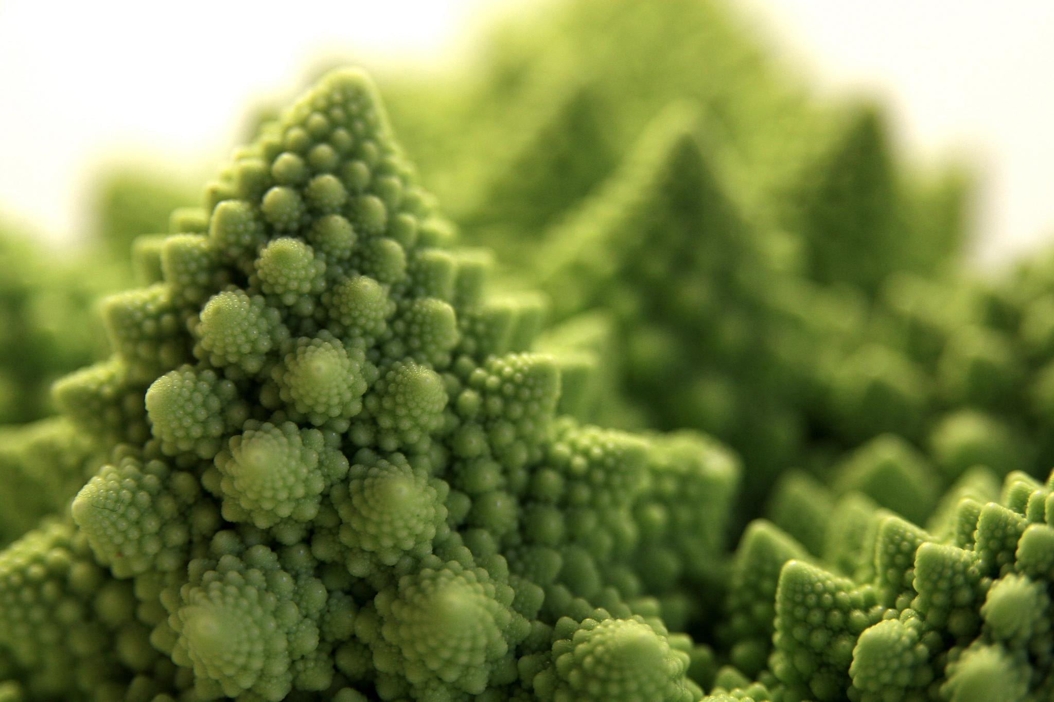 freshness, Broccoli, verdura, mountain range, close-up, geometrical, 30d, spirale, cibo, close, vegetable, Geometry, organic, canon, food, cauliflower, HD Wallpaper