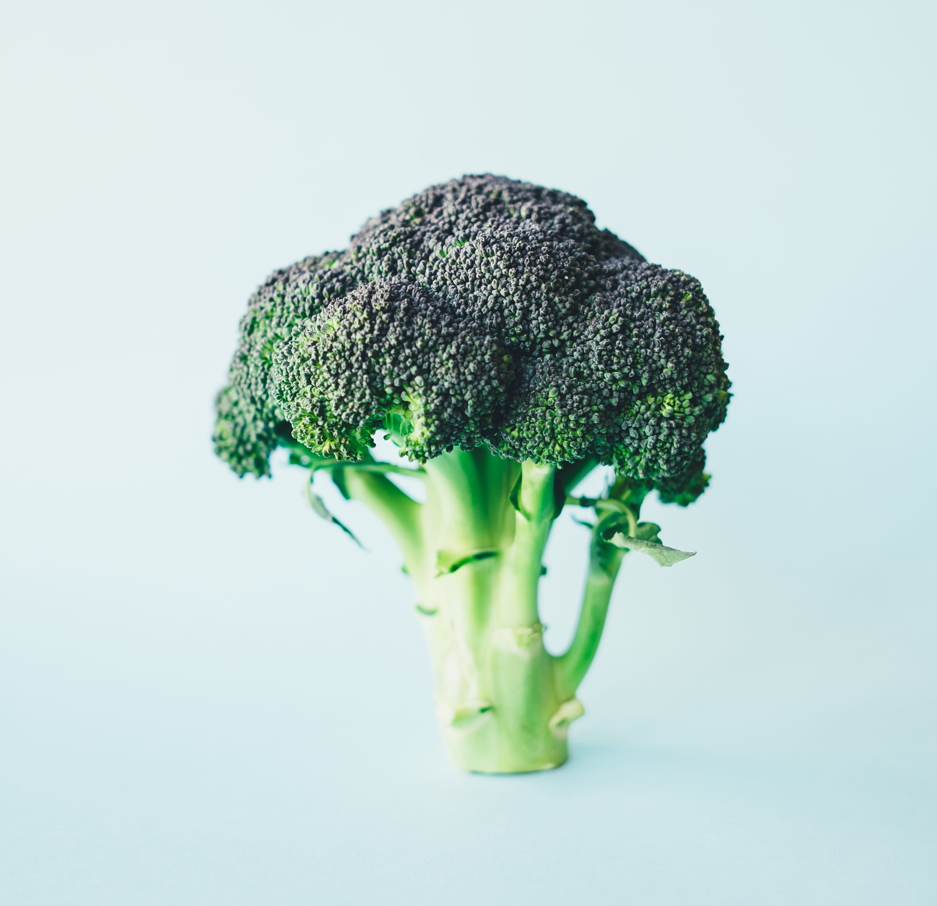 healthy, studio shot, healthy Eating, dieting, still life, minimalistic, minimal, flower, green Color, raw Food, white background, close-up, vegetarian Food, HD Wallpaper