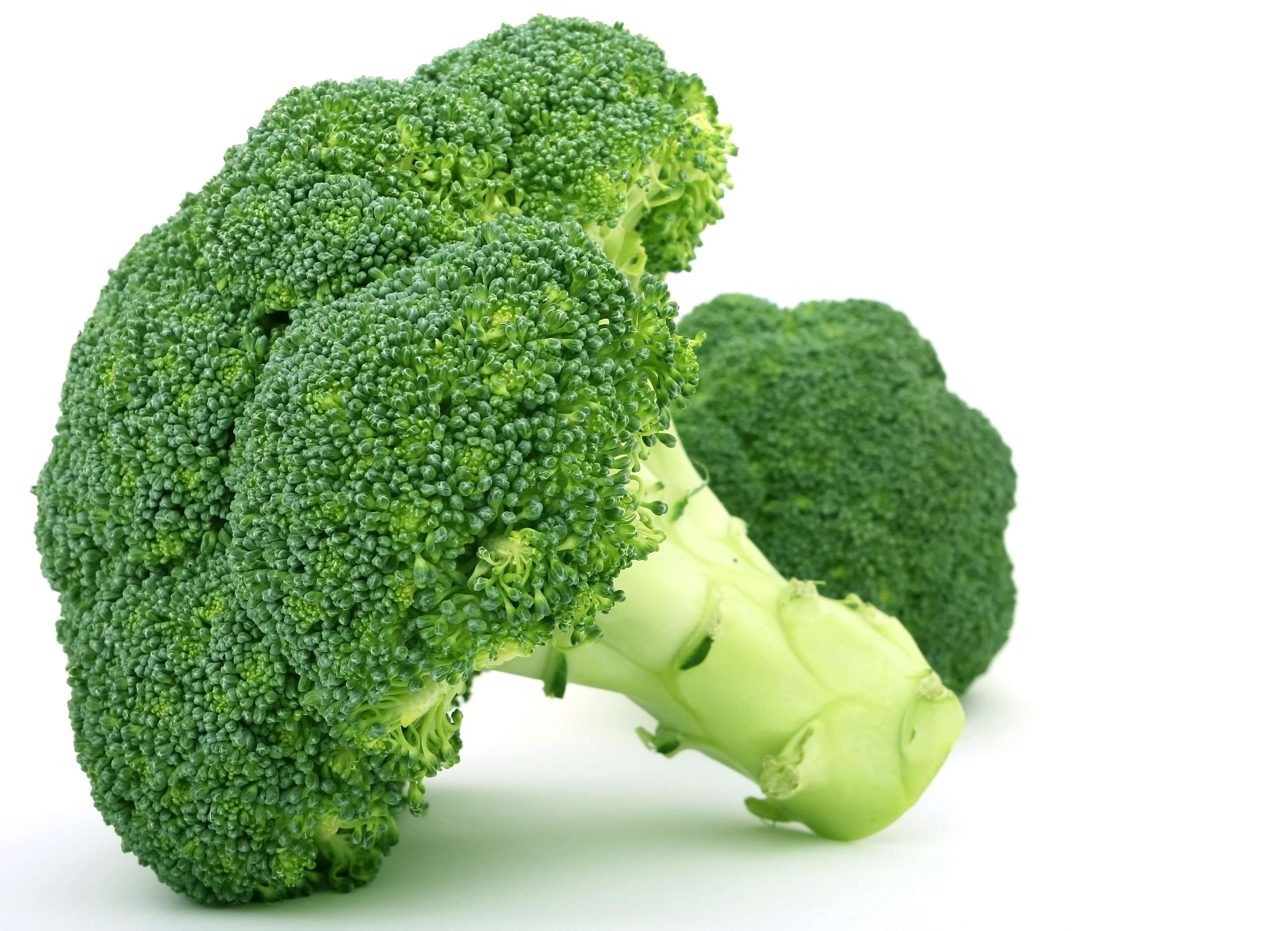 still life, cookery, leaf vegetable, appetite, indoors, good, health, broccoli, single object, in, studio shot, raw food, culinary, cut out, dinner, fibre, HD Wallpaper