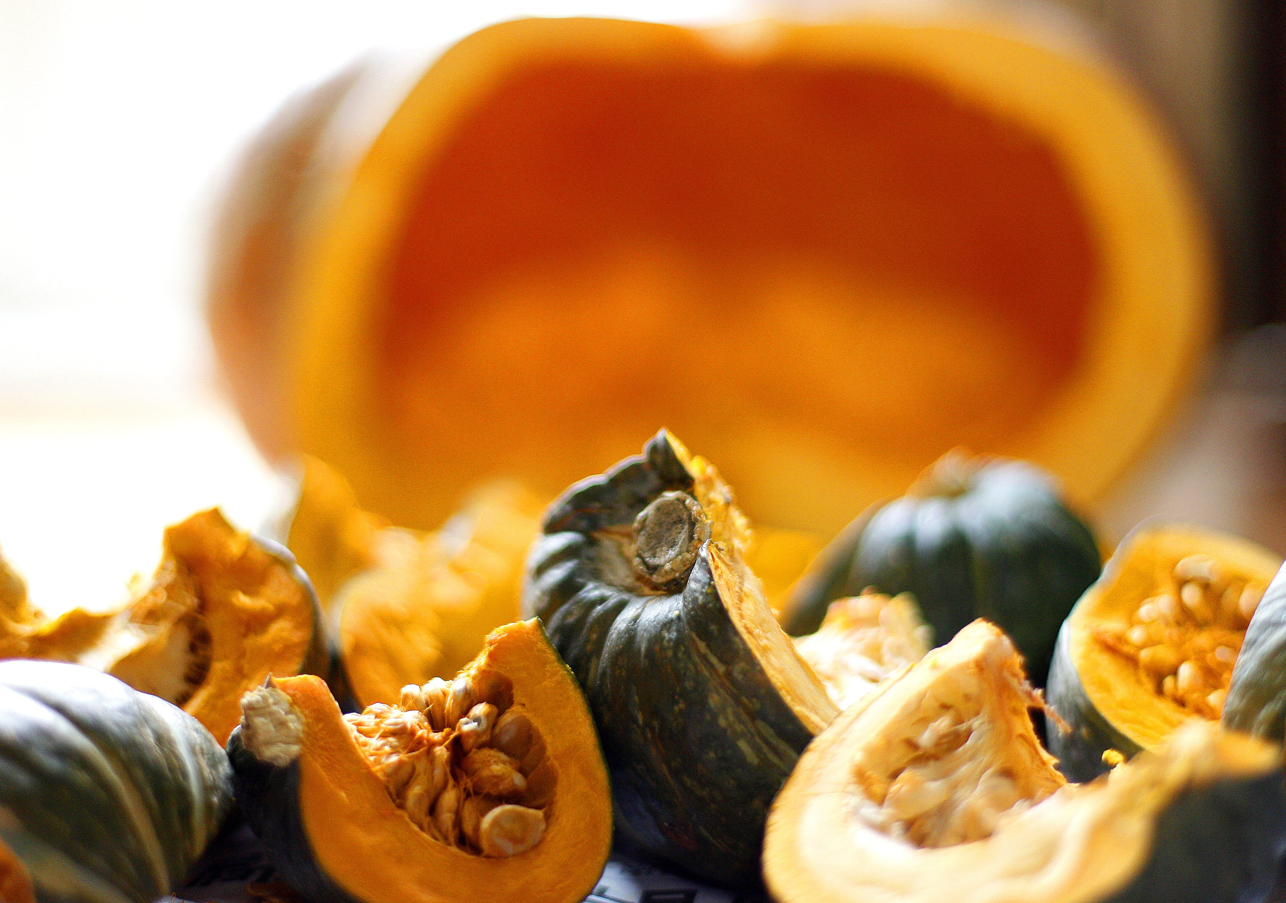 vegetables, autumn, studio shot, focus on foreground, indoors, freshness, vegetarian food, food, close-up, no people, healthy lifestyle, pumpkin, 4K, zucchini, HD Wallpaper