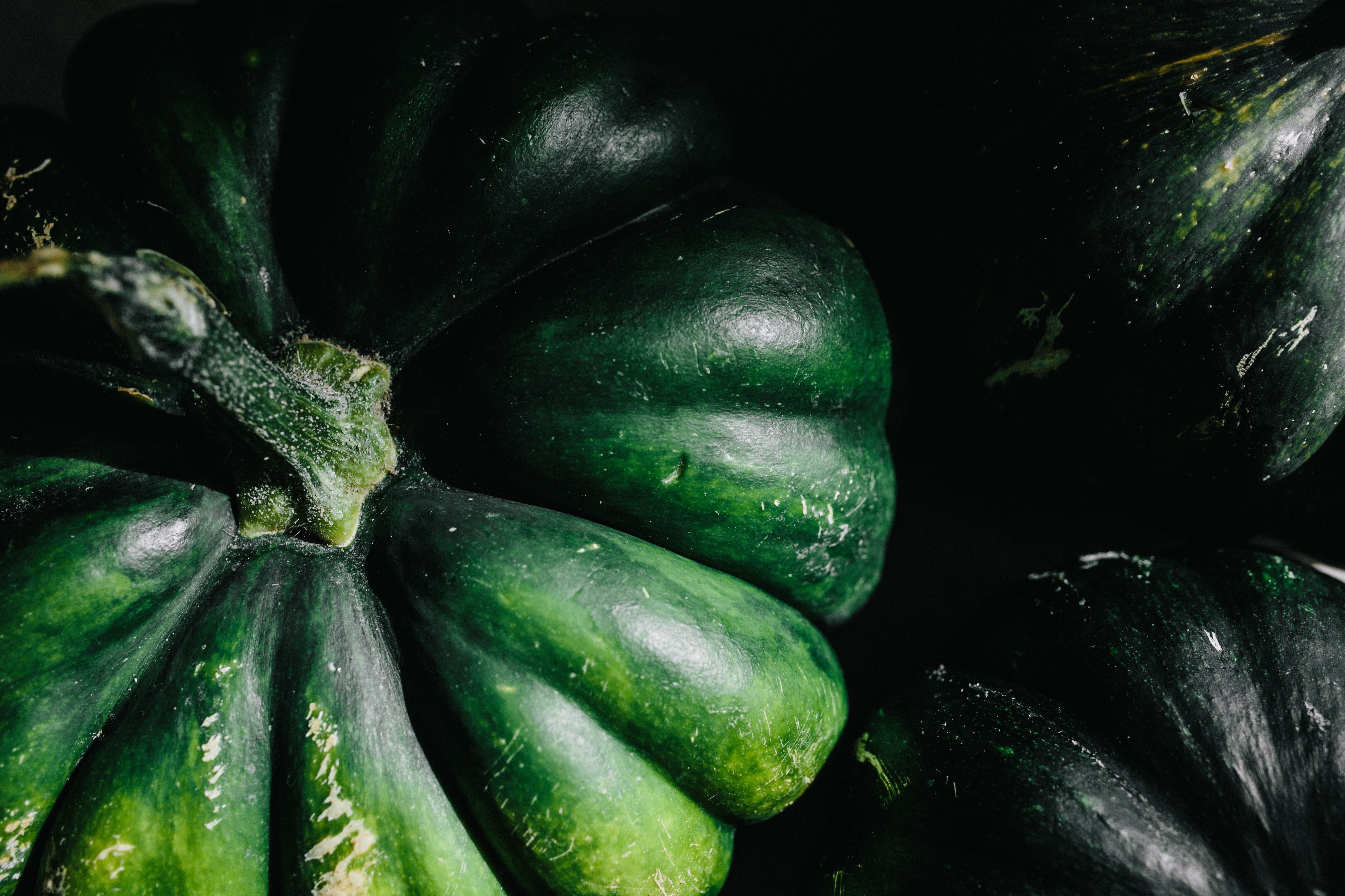 studio shot, freshness, black background, vegetable, cucumber, green color, close-up, indoors, 5K, eggplant, wellbeing, october, food and drink, pumpkin, HD Wallpaper