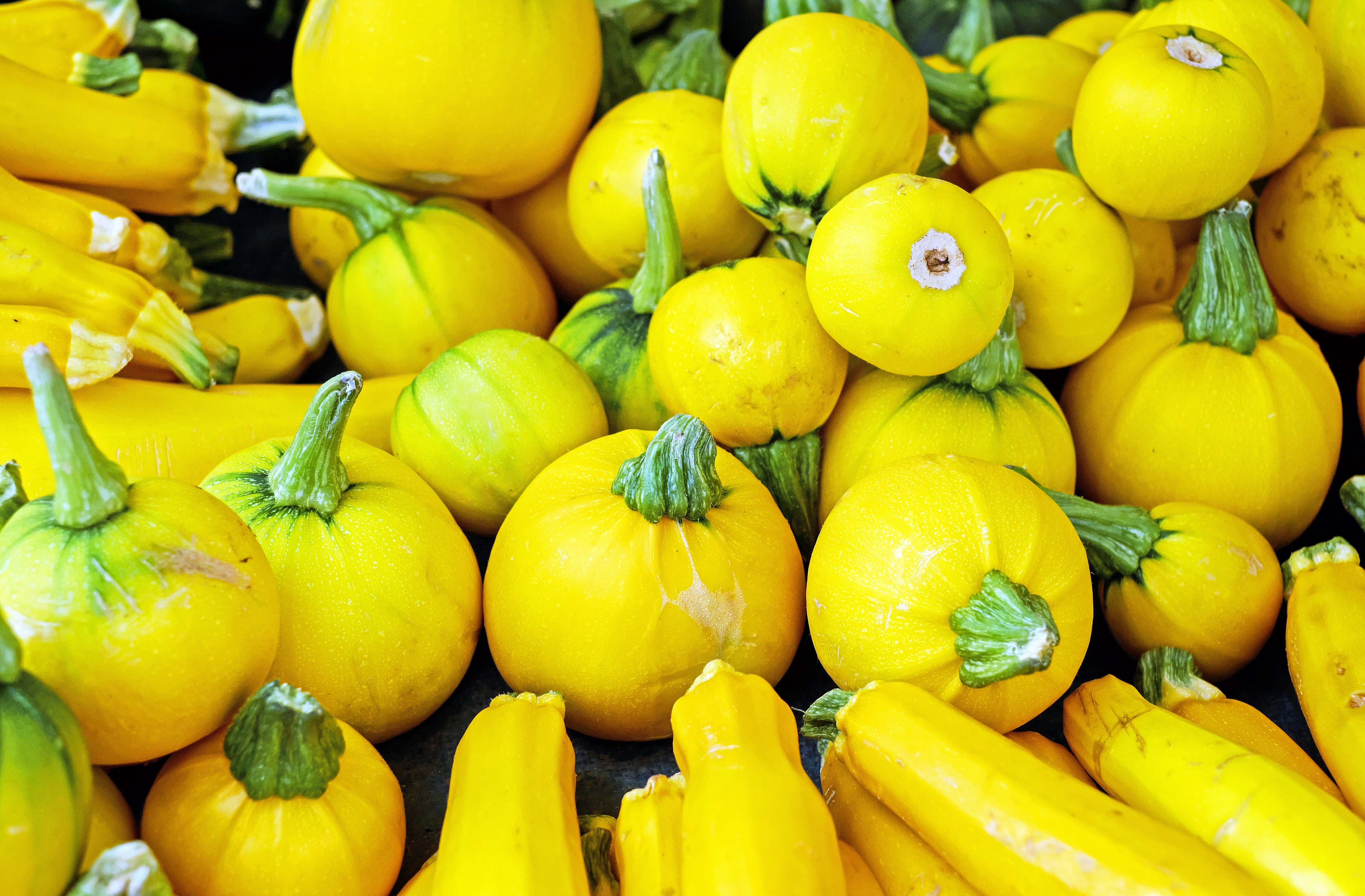 outdoors, abundance, fruit, backgrounds, business, market stall, freshness, healthy eating, organic, many, squash, retail, for sale, 4K, zucchini, ripe, HD Wallpaper