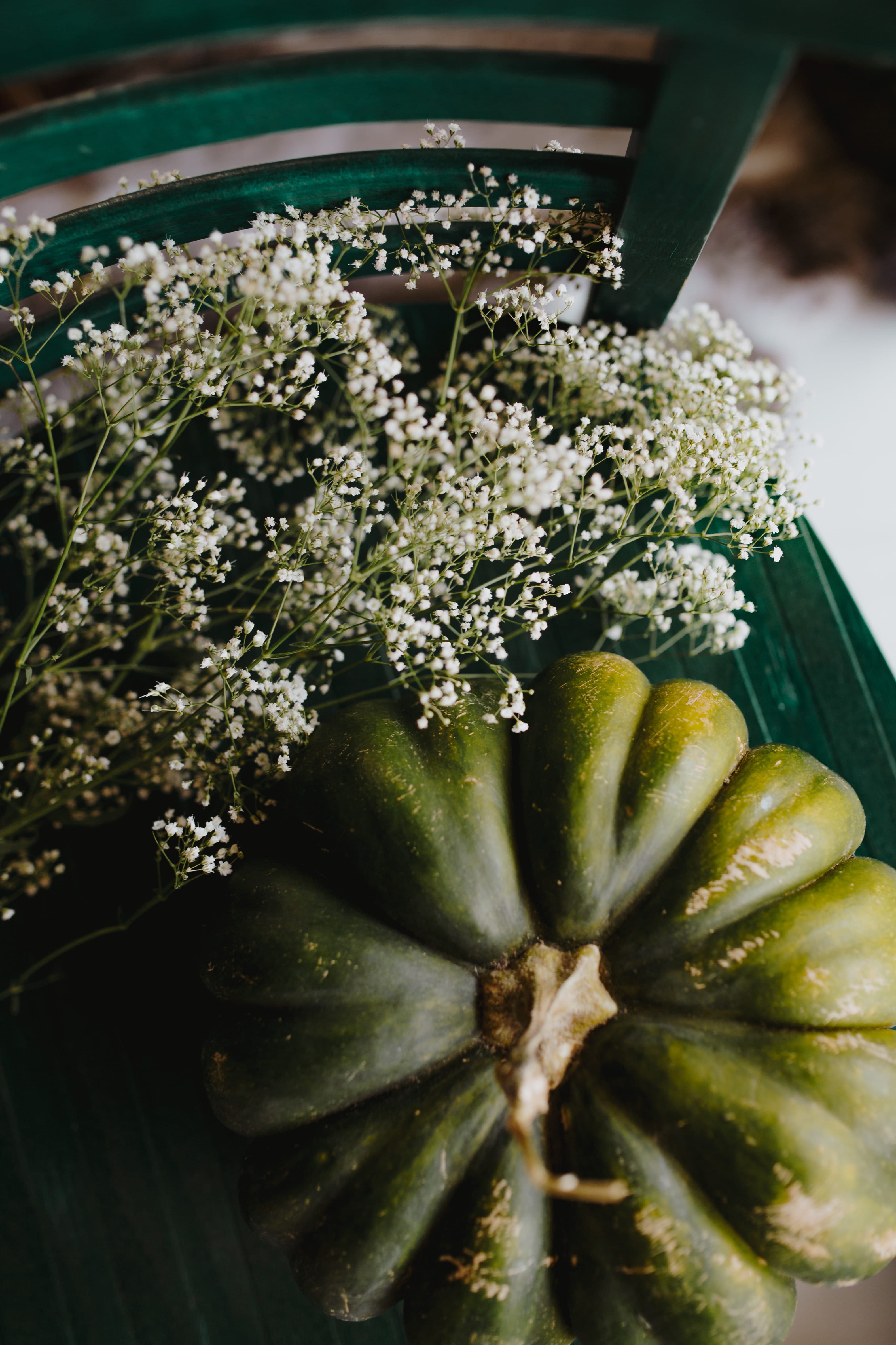 high angle view, view, food, flat lay, pumpkin, broccoli, green color, 4K, flower, temptation, close-up, plant, green, day, zucchini, still life, vegetable, Phone HD Wallpaper