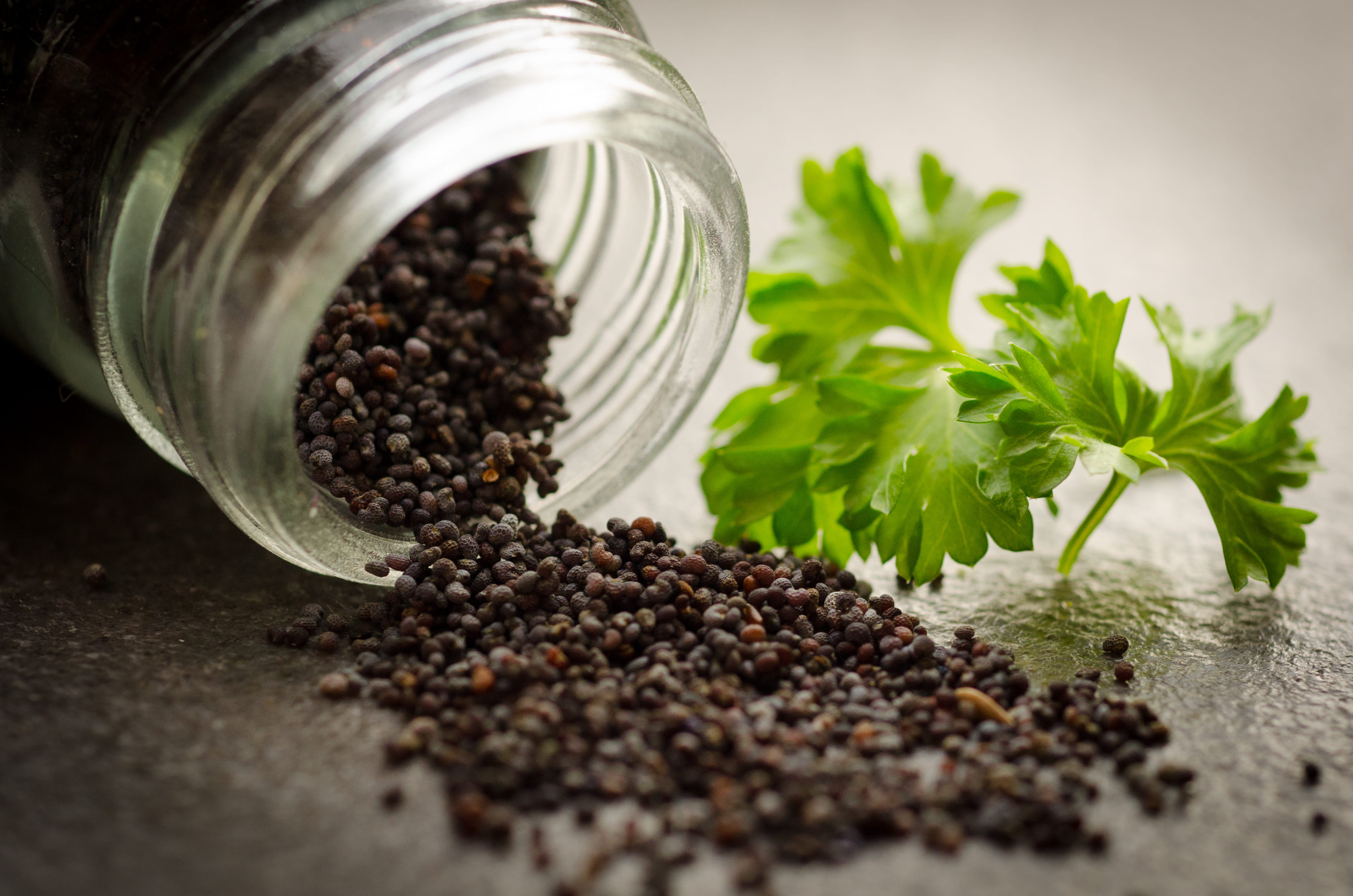 food and drink, jar, 4K, seasoning, food, indoors, table, spice, ingredient, selective focus, pepper, container, green color, no people, black, herb, black peppercorn, HD Wallpaper
