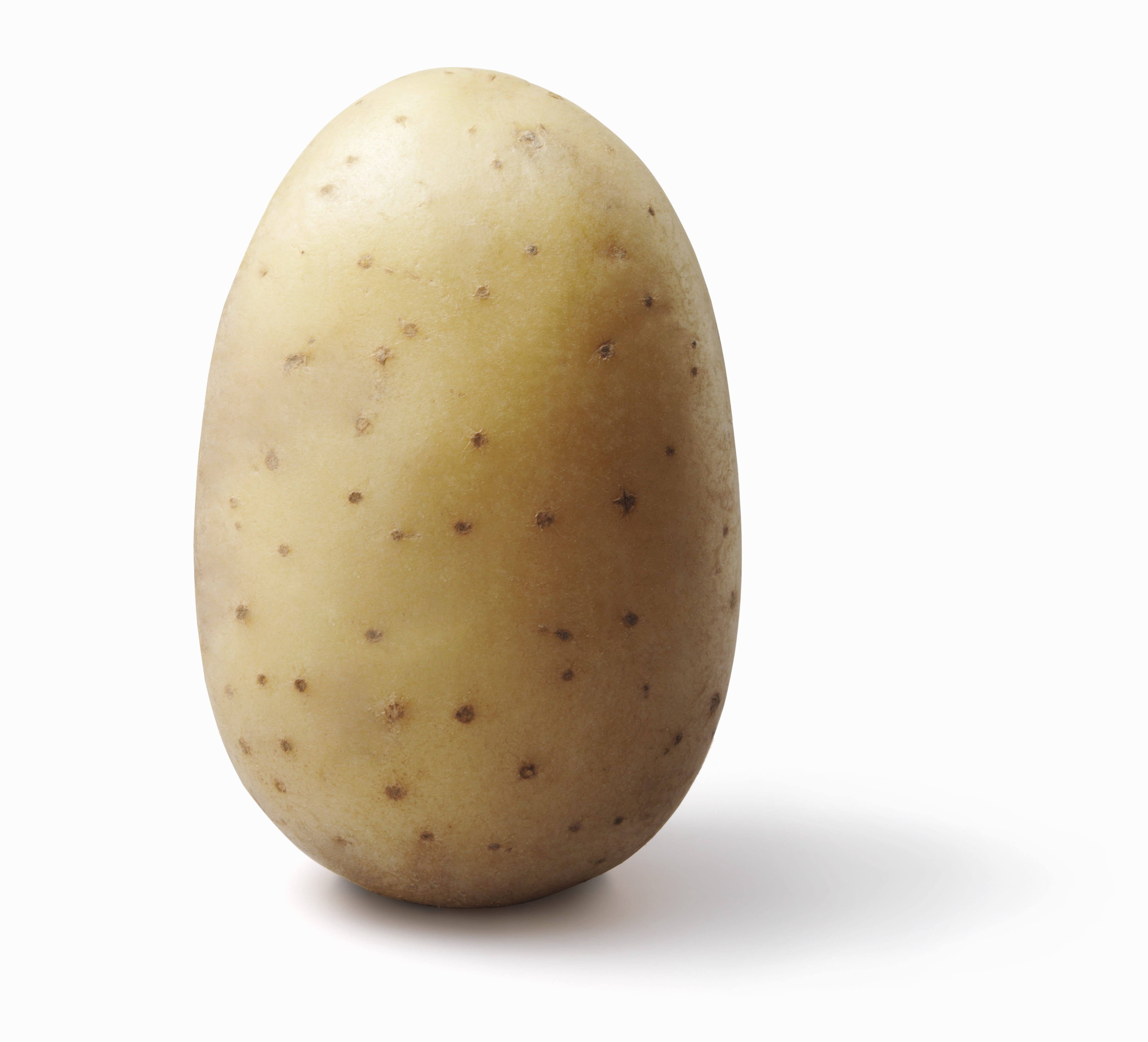 raw potato, white background, vegetarian food, wellbeing, studio shot, brown, nutrition, freshness, organic, snack, healthy eating, single object, indoors, HD Wallpaper