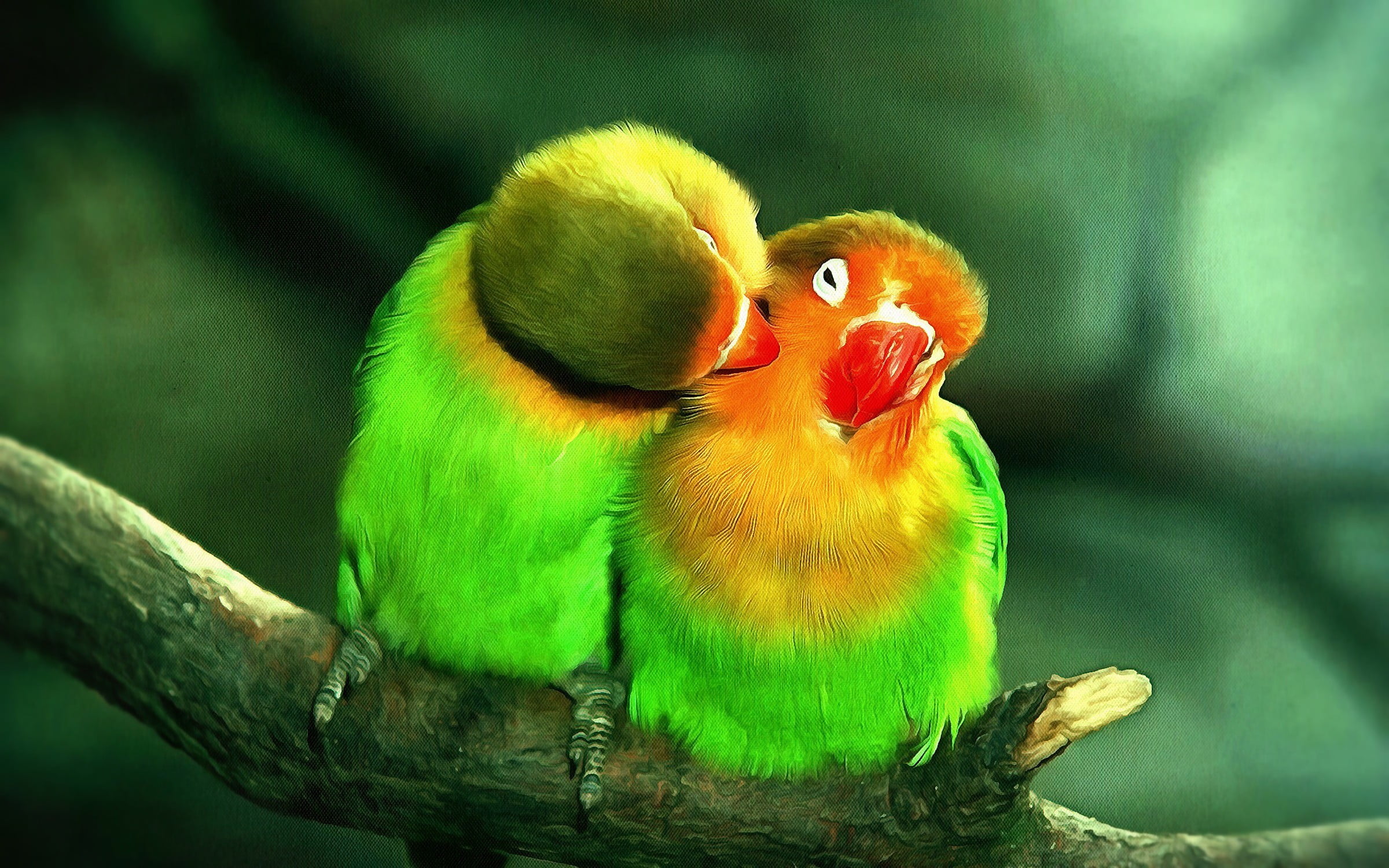 parrot, animal family, nature, orange, parakeet, animal wildlife, tree, animals in the wild, two animals, close-up, animal themes, green color, focus on foreground, HD Wallpaper