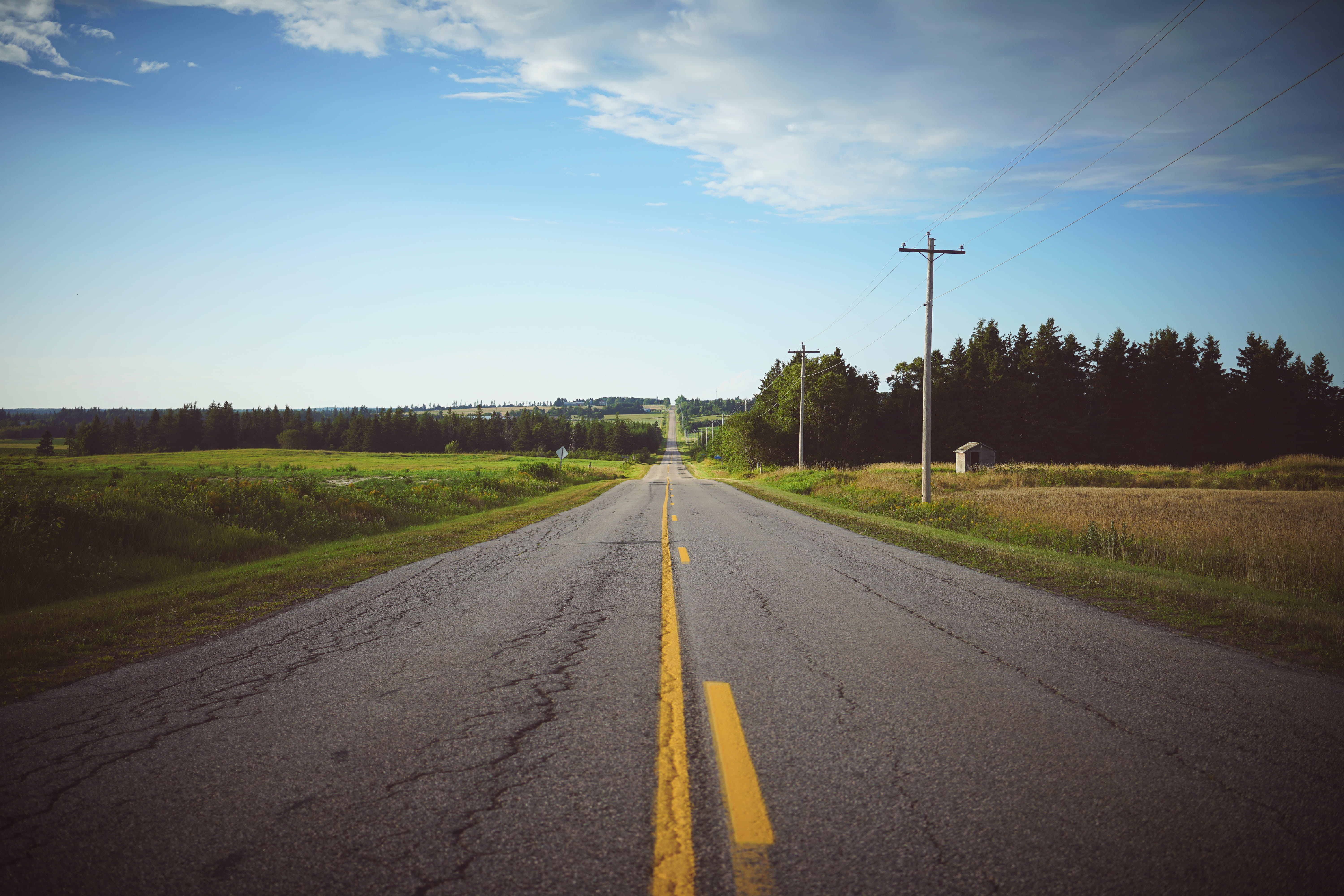 5K, direction, power supply, symbol, tree, cable, prince edward island, outdoors, country, the way forward, electricity, canada, vanishing point, diminishing perspective, HD Wallpaper