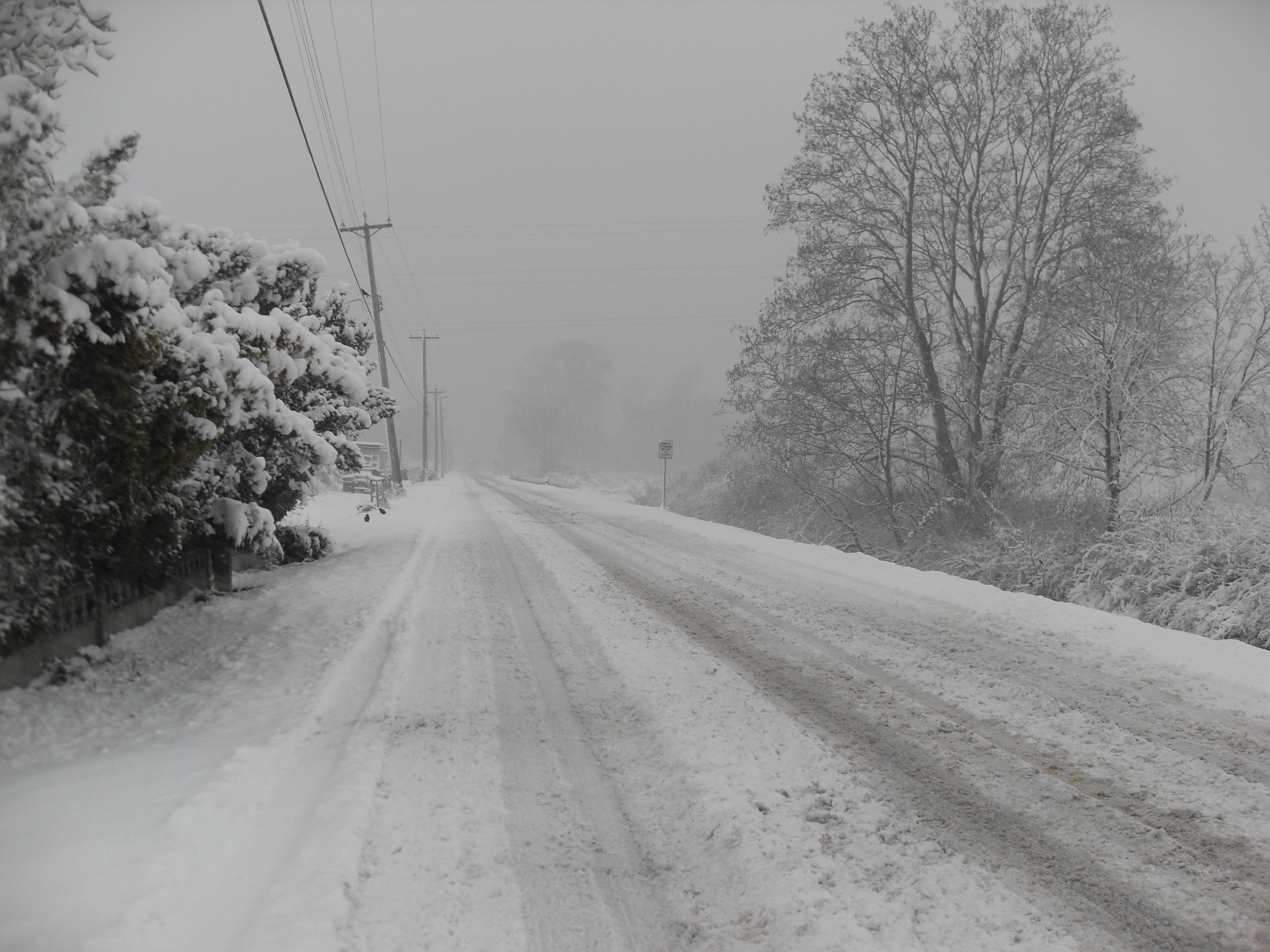 blizzard, weather, transportation, snowing, cold, road, snowfall, no people, diminishing perspective, electricity, nature, the way forward, connection, HD Wallpaper