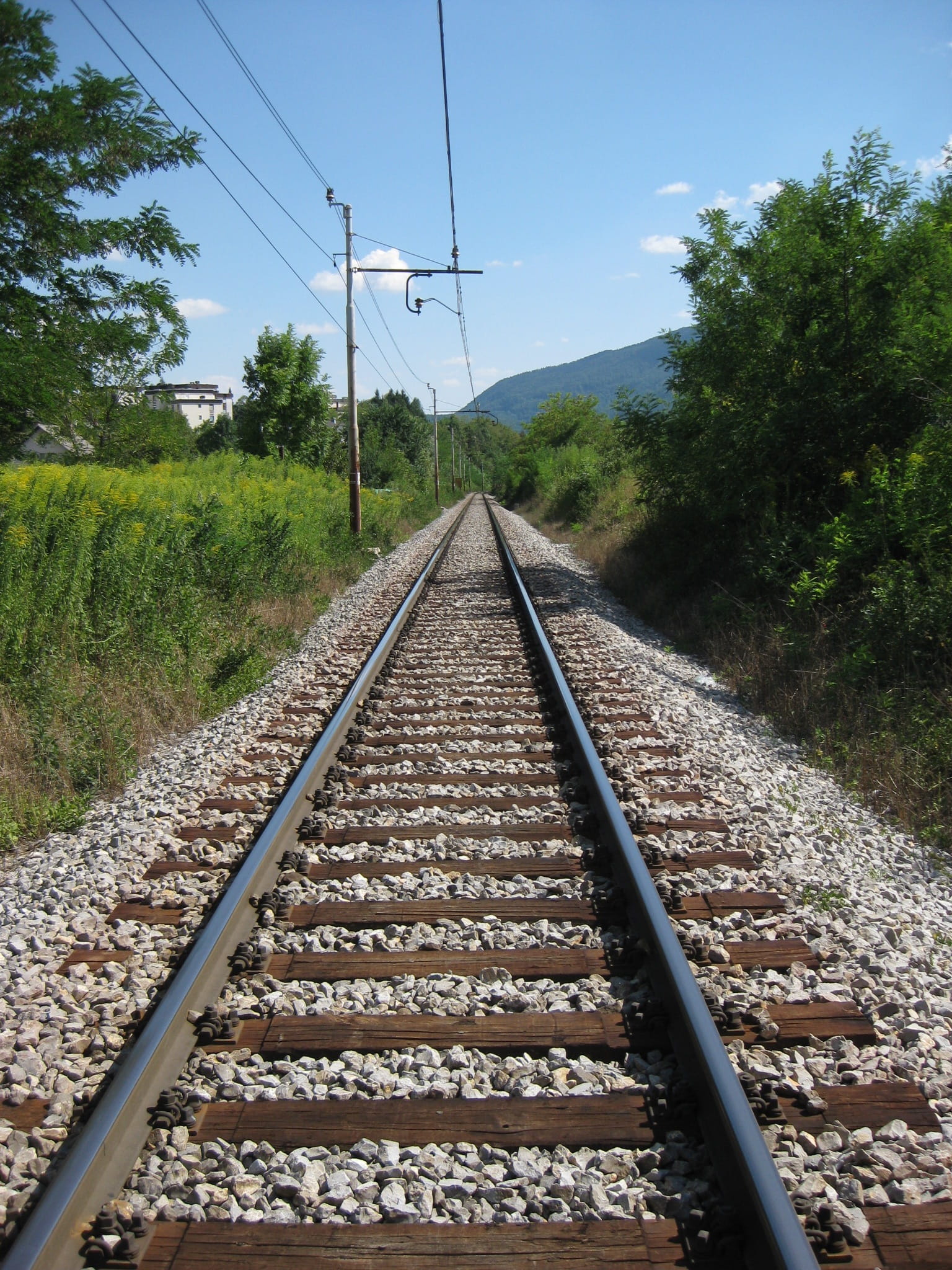 landscape, metal, pebble, Gleise, rail transportation, green, tree, direction, day, power line, Train, growth, parallel, the way forward, cable, plant, Phone HD Wallpaper