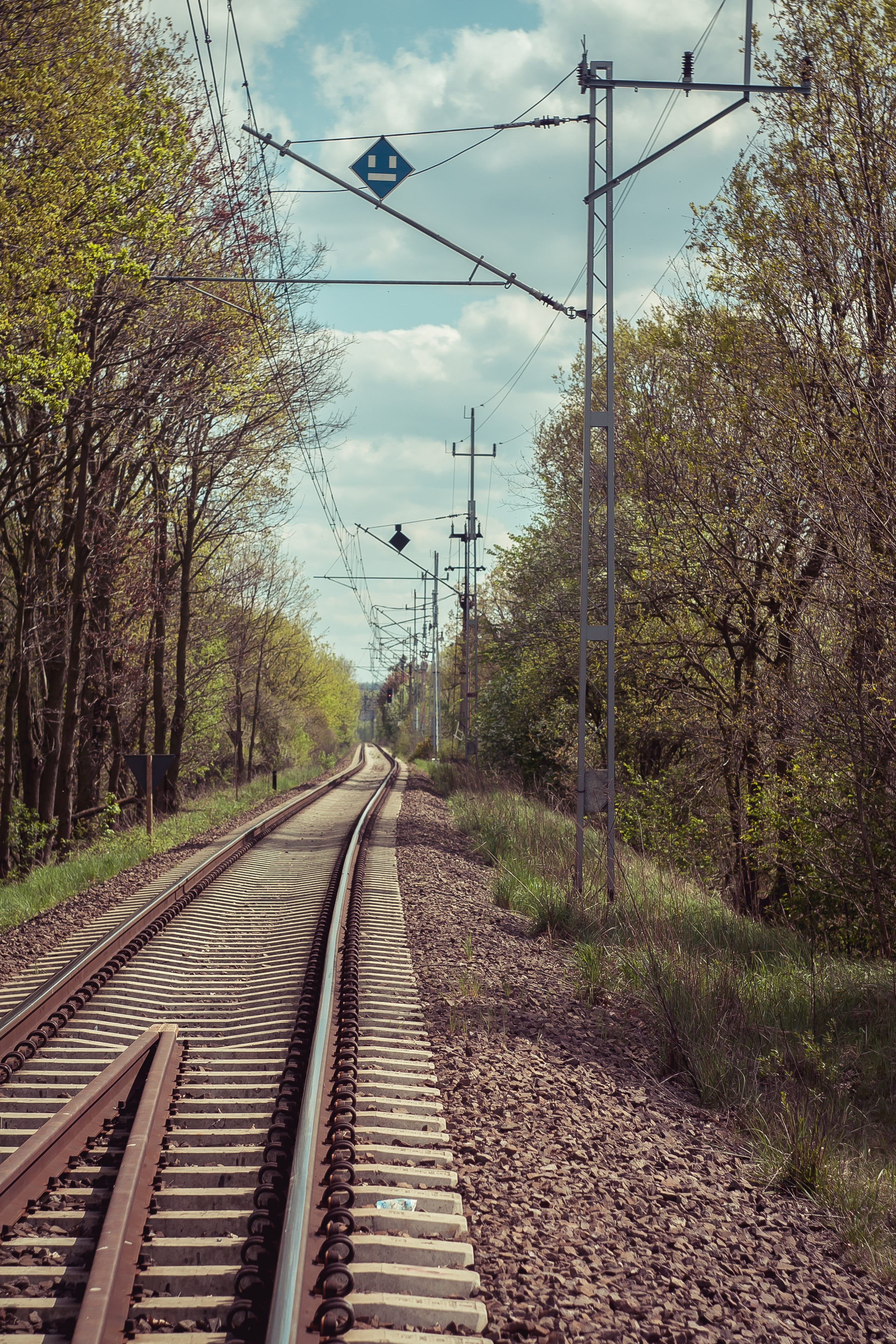 cable, travel, earthwork, direction, railroad track, 4K, outdoors, pkp, communication, rails, tree, Railway, power supply, track, transport, nature, railway embankment, Phone HD Wallpaper