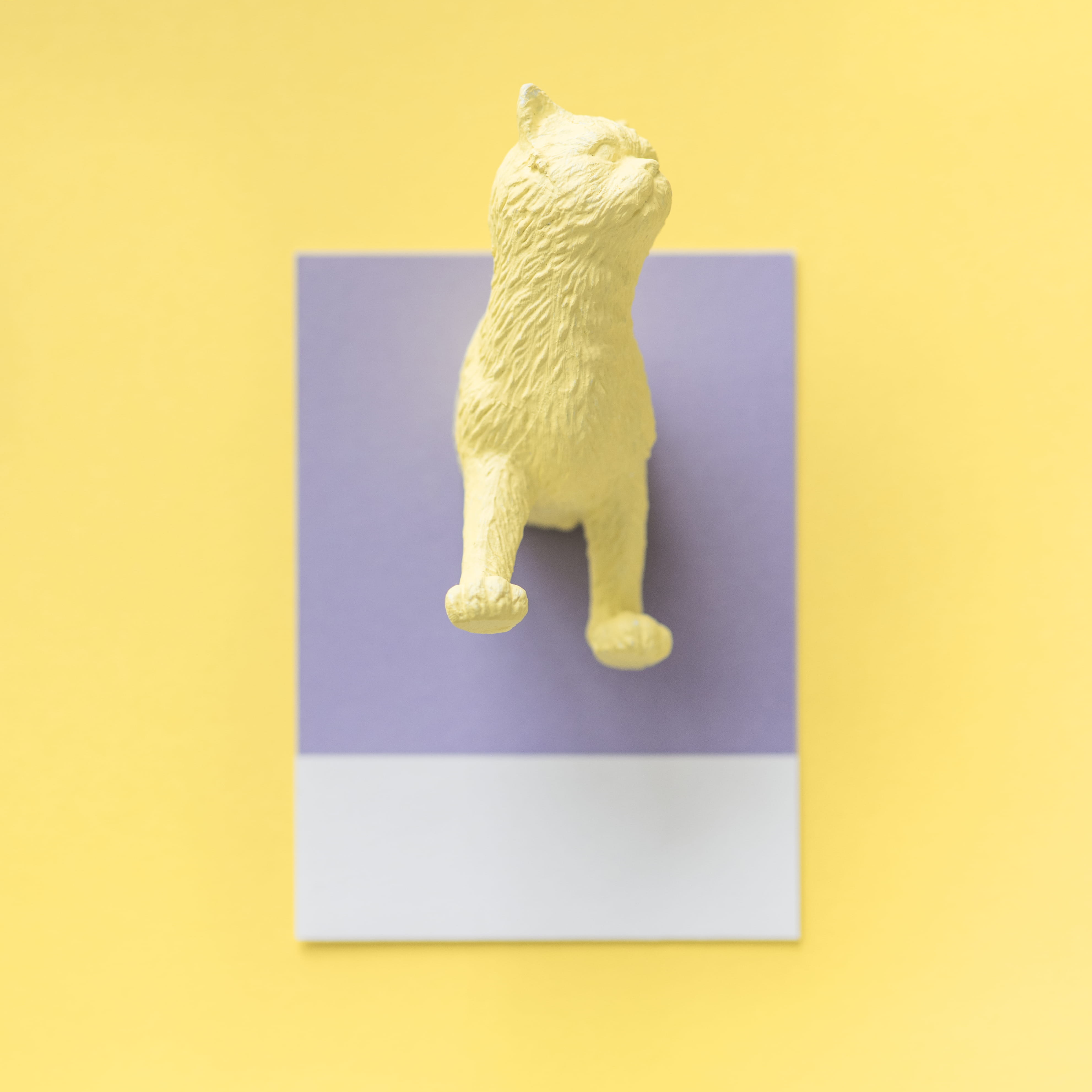art and craft, creative, indoors, design, pastel, artsy, yellow background, feline, 4K, figure, no people, colored background, concept, shape, studio shot, Phone HD Wallpaper