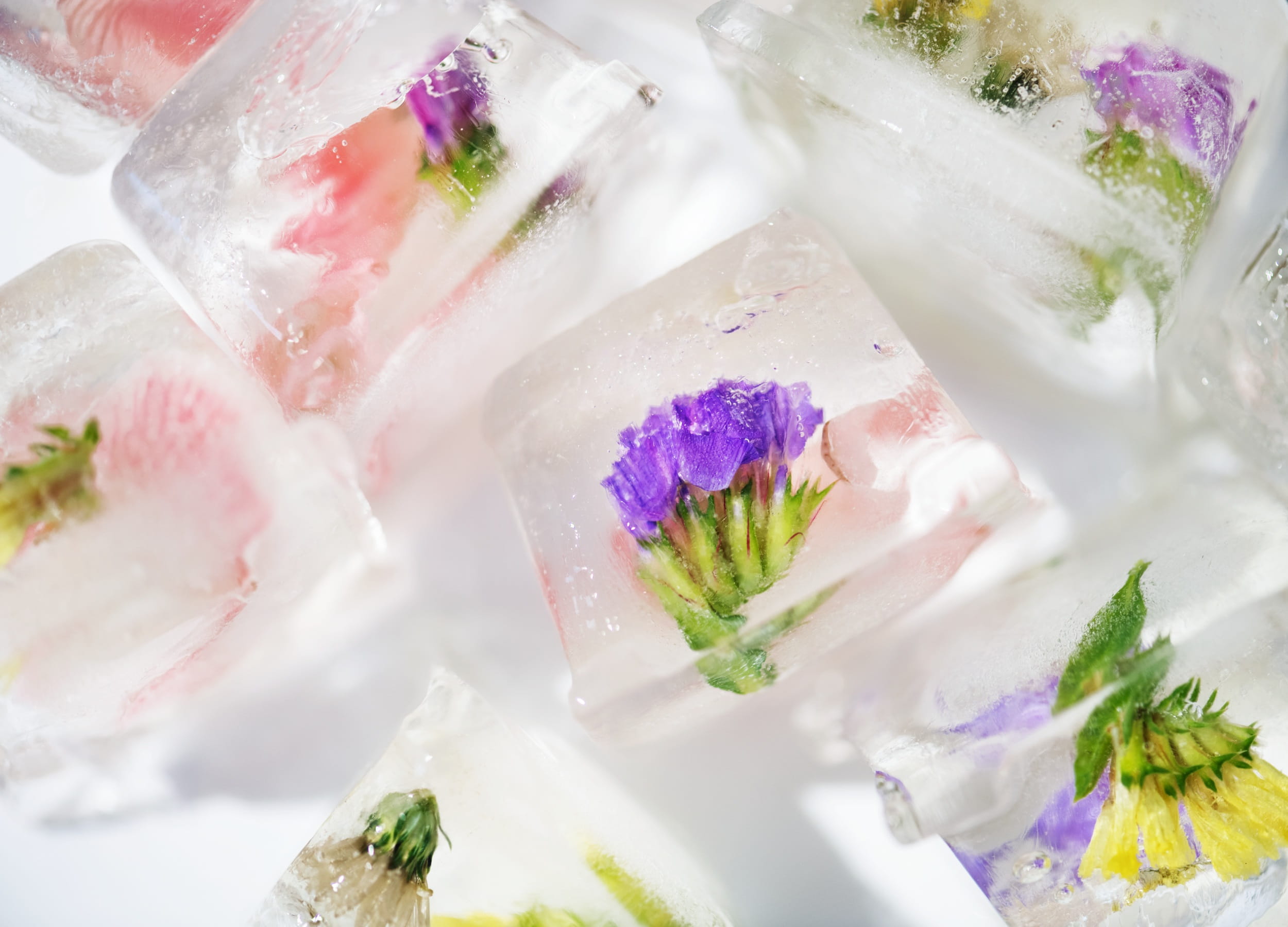 icy, art, tropical, transparent, herb, crystal, mojito, indoors, no people, edible, statice, solid, colorful, flower, refreshment, artisan, summer, 1080P, HD Wallpaper