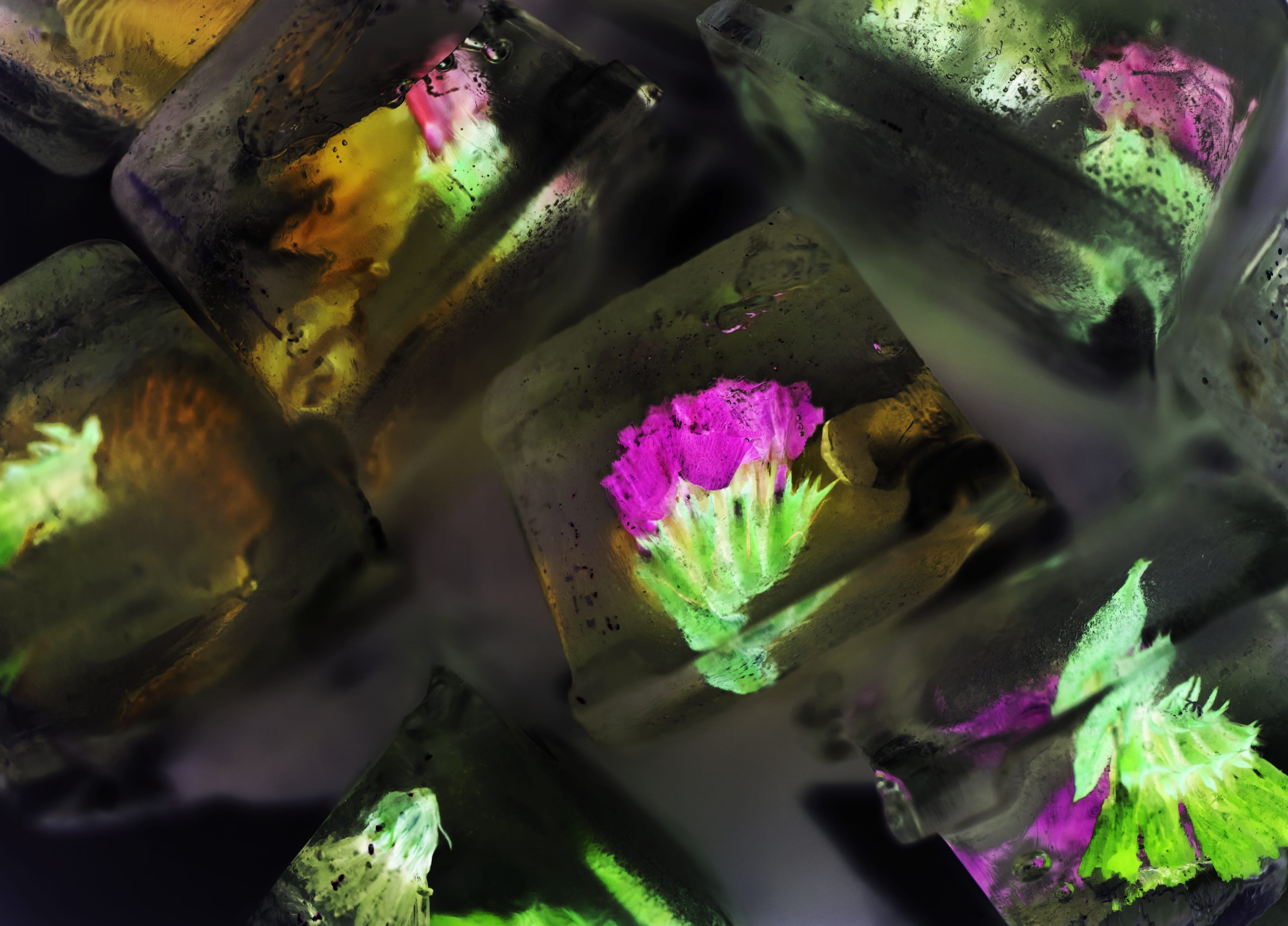 artisan, detail, decoration, decor, creativity, flower head, multi colored, pink color, petal, beauty in nature, water, cube, creative, art, beautiful, HD Wallpaper