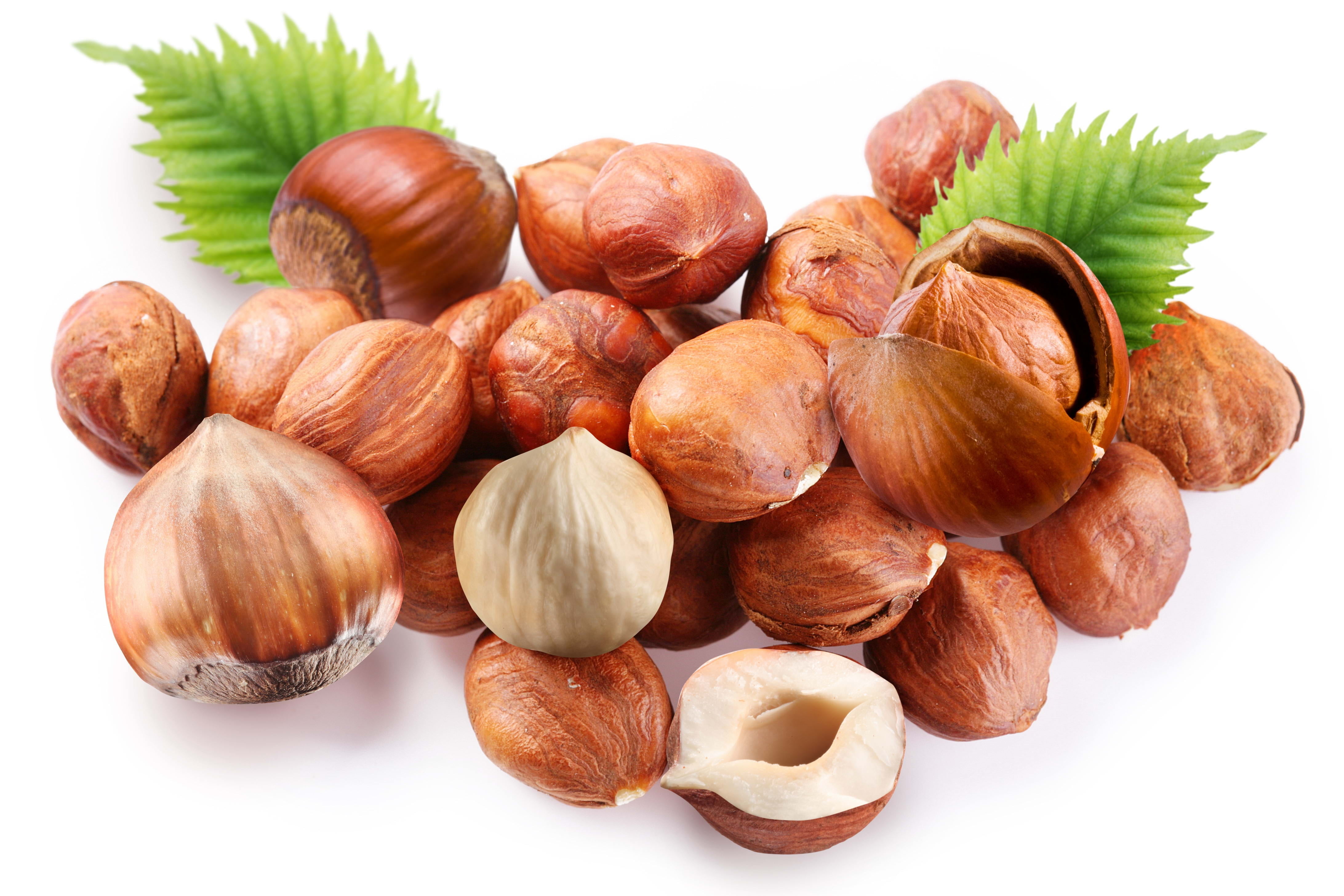 nuts, ingredient, nature, 4K, white Background, vegetarian Food, fruit, acorn, indoors, isolated, healthy Eating, wellbeing, still life, large group of objects, HD Wallpaper