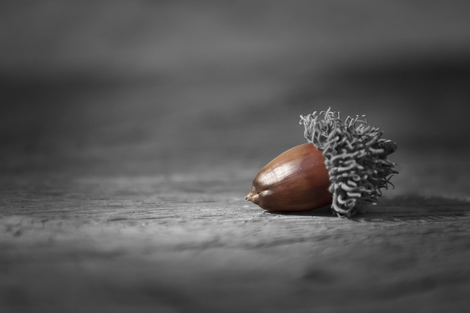 healthy eating, no people, selective focus, freshness, wood - material, nut - food, fruit, nuts, food, nut, table, nature, food and drink, wellbeing, close-up, HD Wallpaper