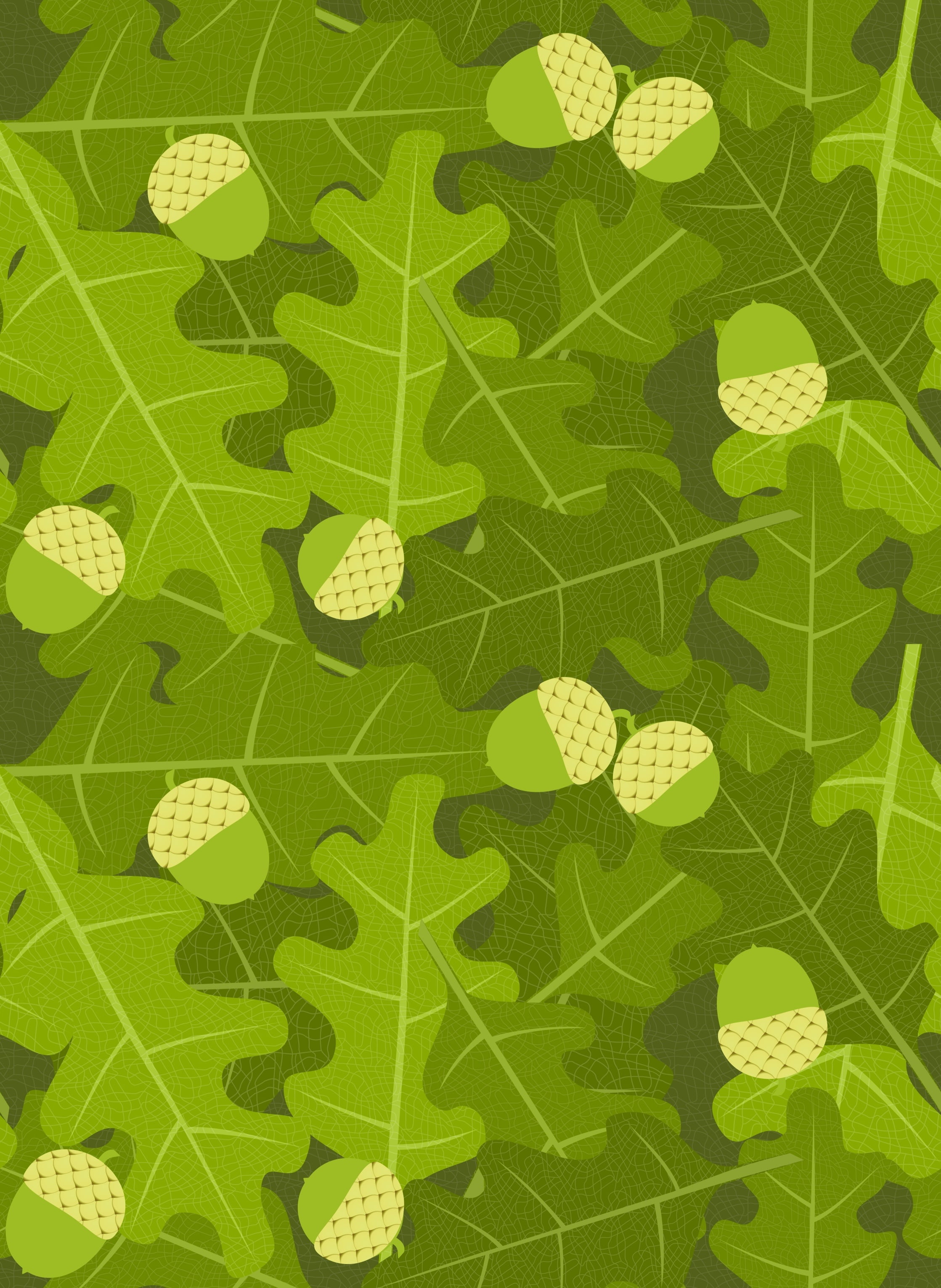 full frame, directly above, acorns, map, plant, green color, textured effect, plant part, leaf, pattern, textured, 2K, growth, grass, no people, yellow, Phone HD Wallpaper
