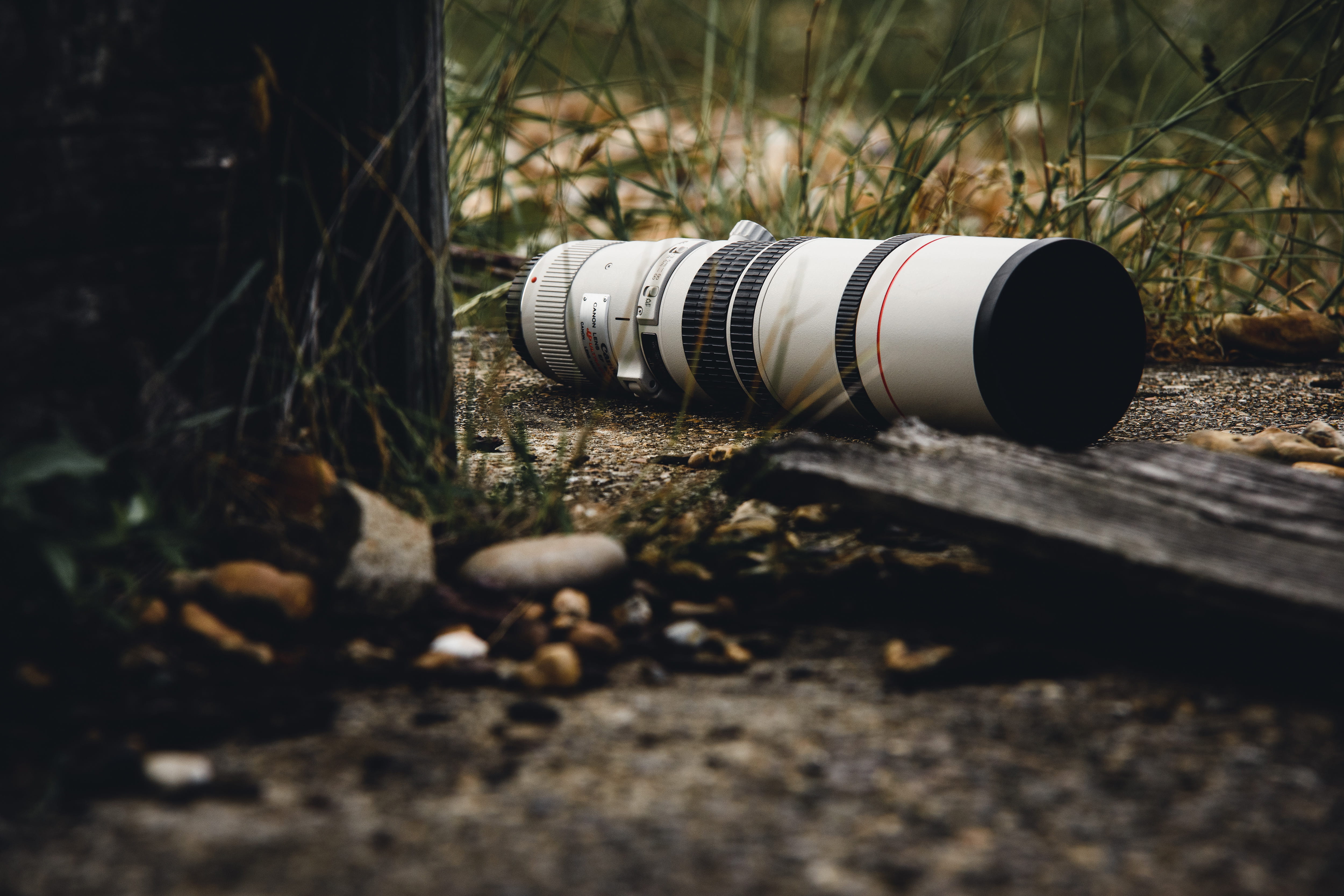 land, technology, selective focus, man made object, still life, plant, close-up, zoom, day, tree, man made, acorn, wood - material, nut, no people, field, HD Wallpaper