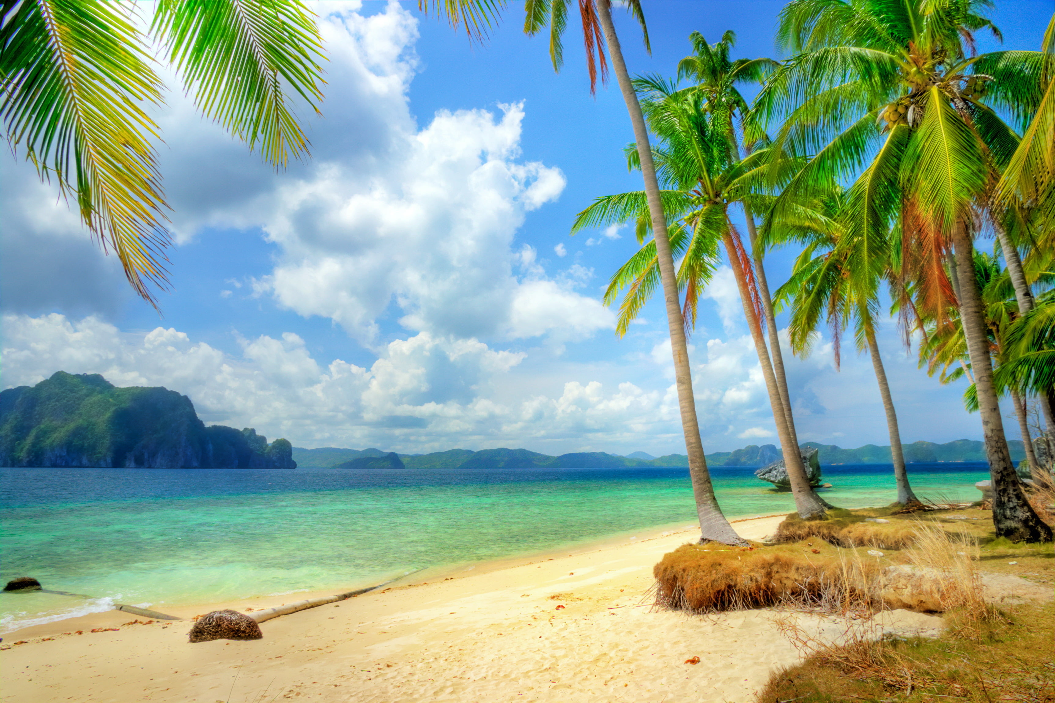 palm, tropical Climate, vacations, sky, exoticism, turquoise Colored, plant, landscape, tropical tree, paradise, cloud - Sky, summer, seascape, day, beach, HD Wallpaper