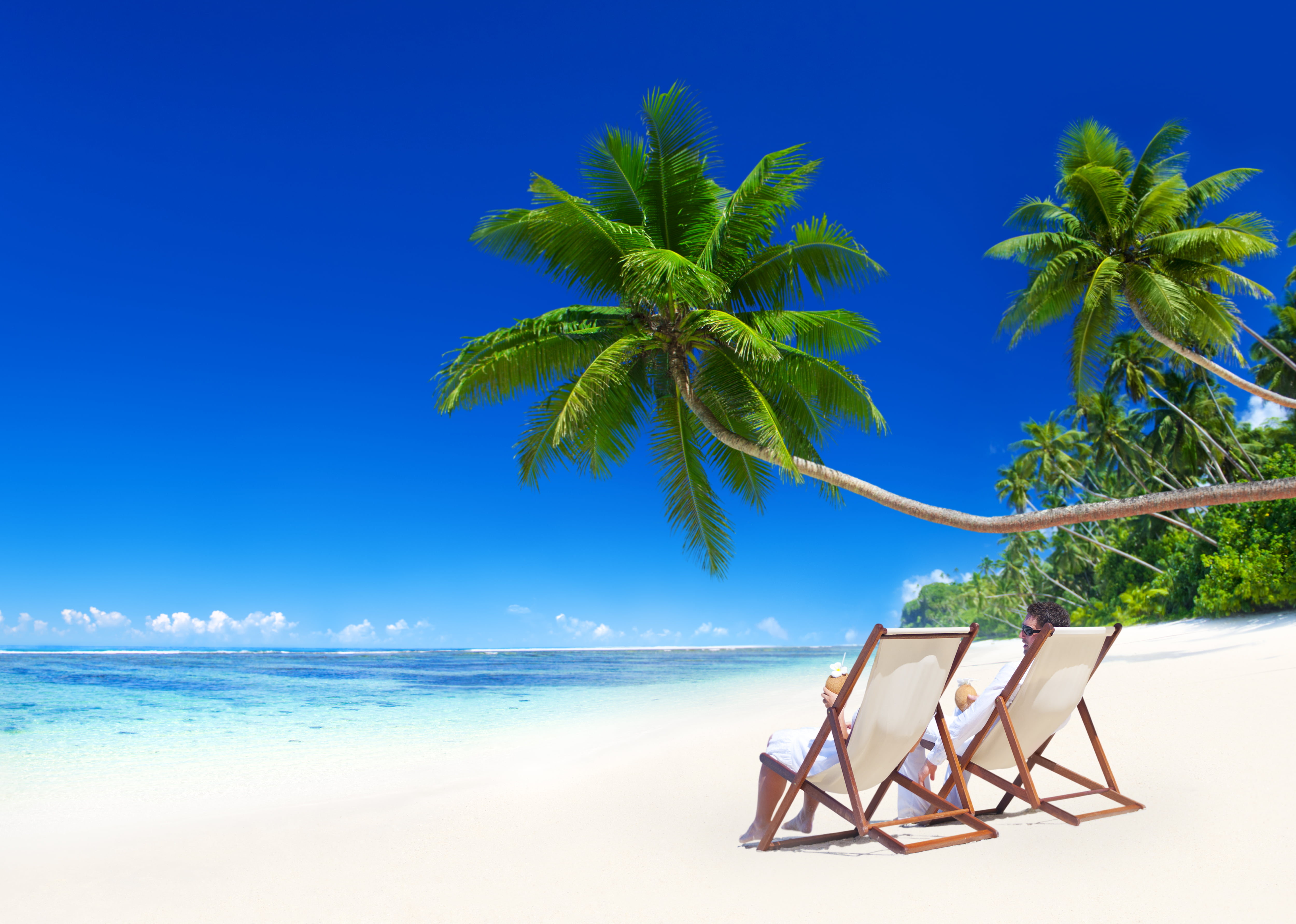 travel Destinations, vacation, tranquility, turquoise Colored, scenics - nature, coconut palm tree, emerald, outdoors, landscape, ocean, trip, water, sunny, HD Wallpaper