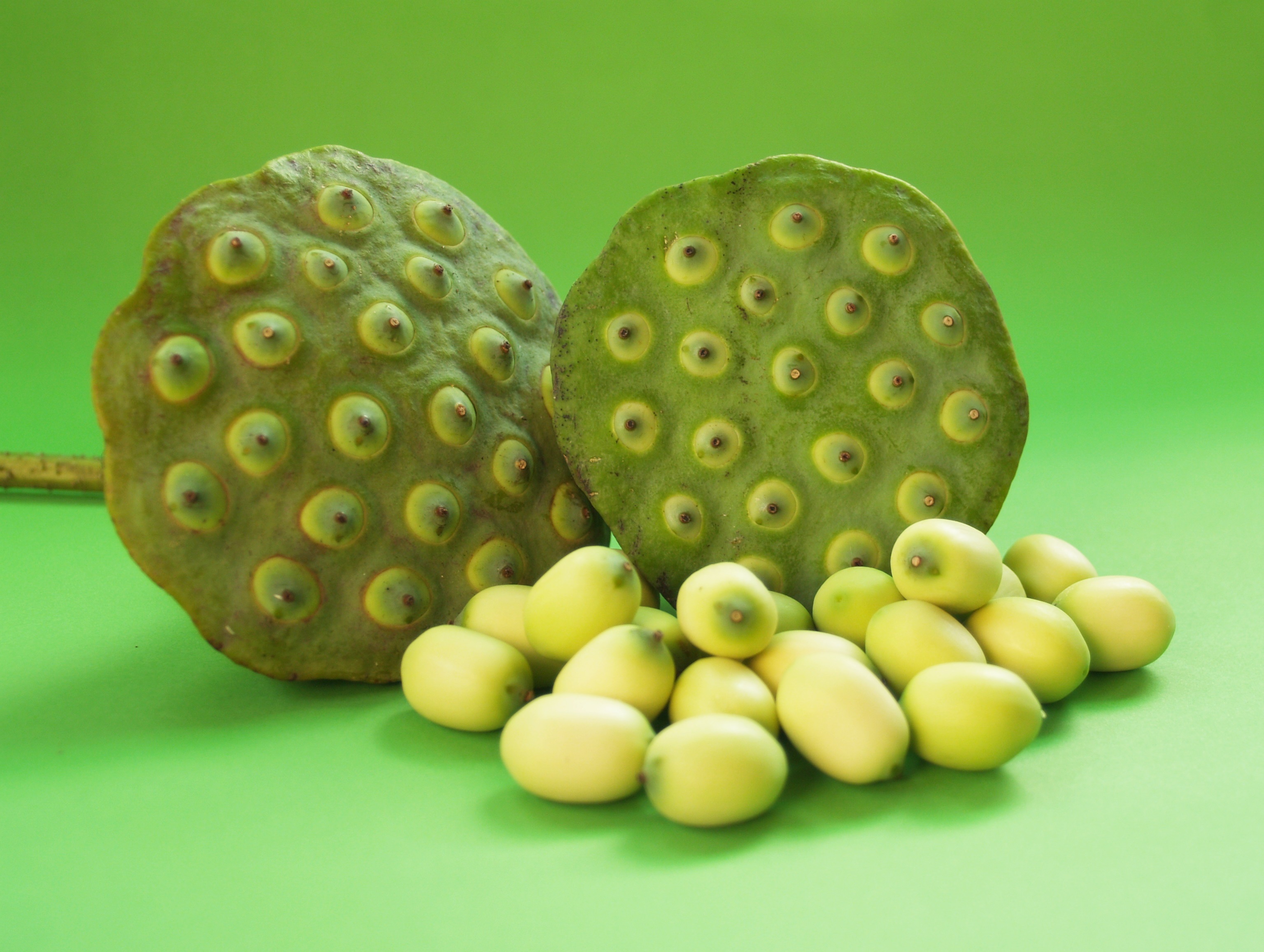 seed, selective focus, up, organic, background, ingredient, green background, botany, indian, east, pod, green, isolated, care, lily, fruit, nut, group, HD Wallpaper