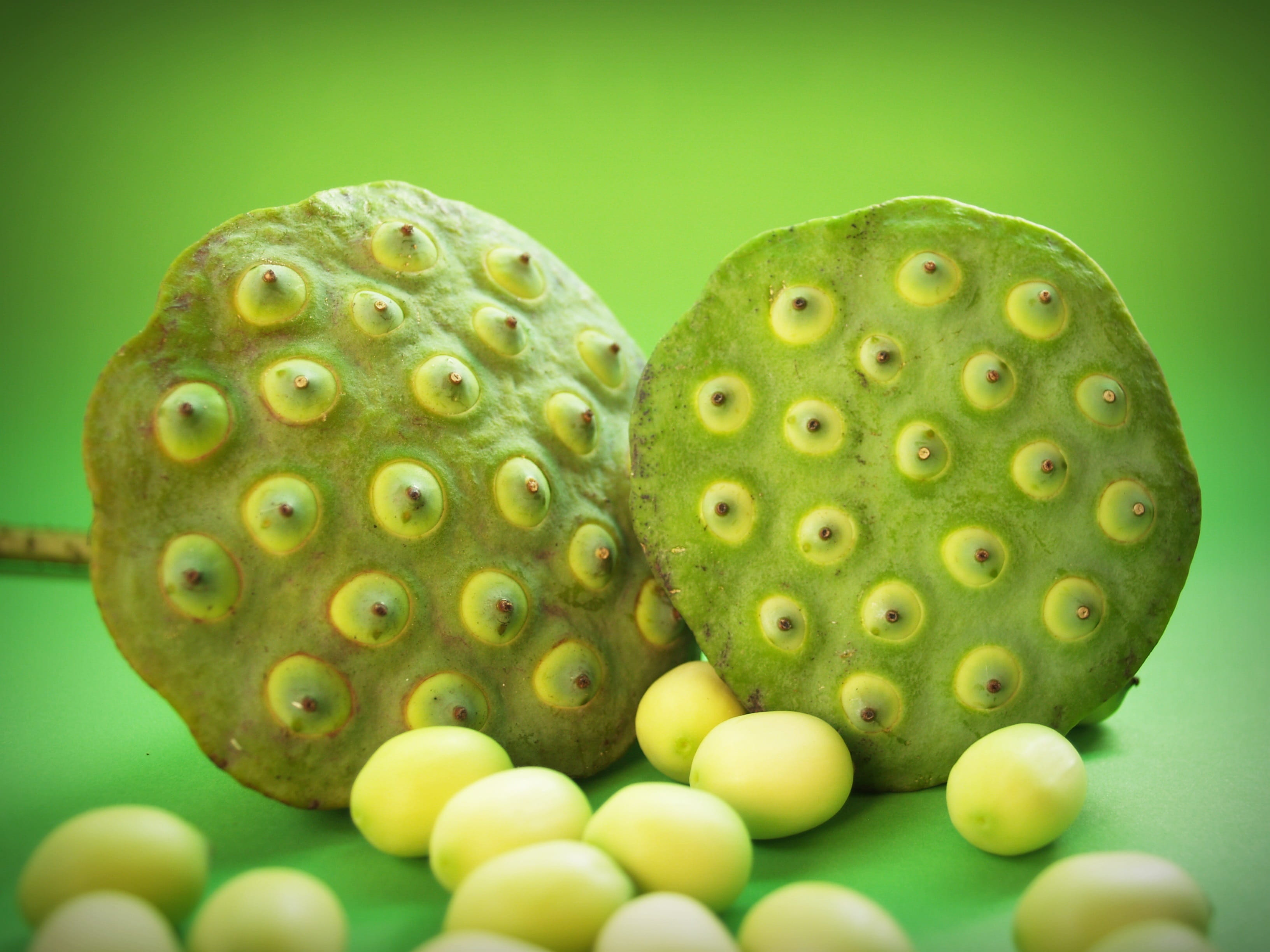 freshness, sweet, natural pattern, group, aquatic, fruit, east, still life, indoors, fresh, natural, beauty in nature, up, background, macro, green background, HD Wallpaper